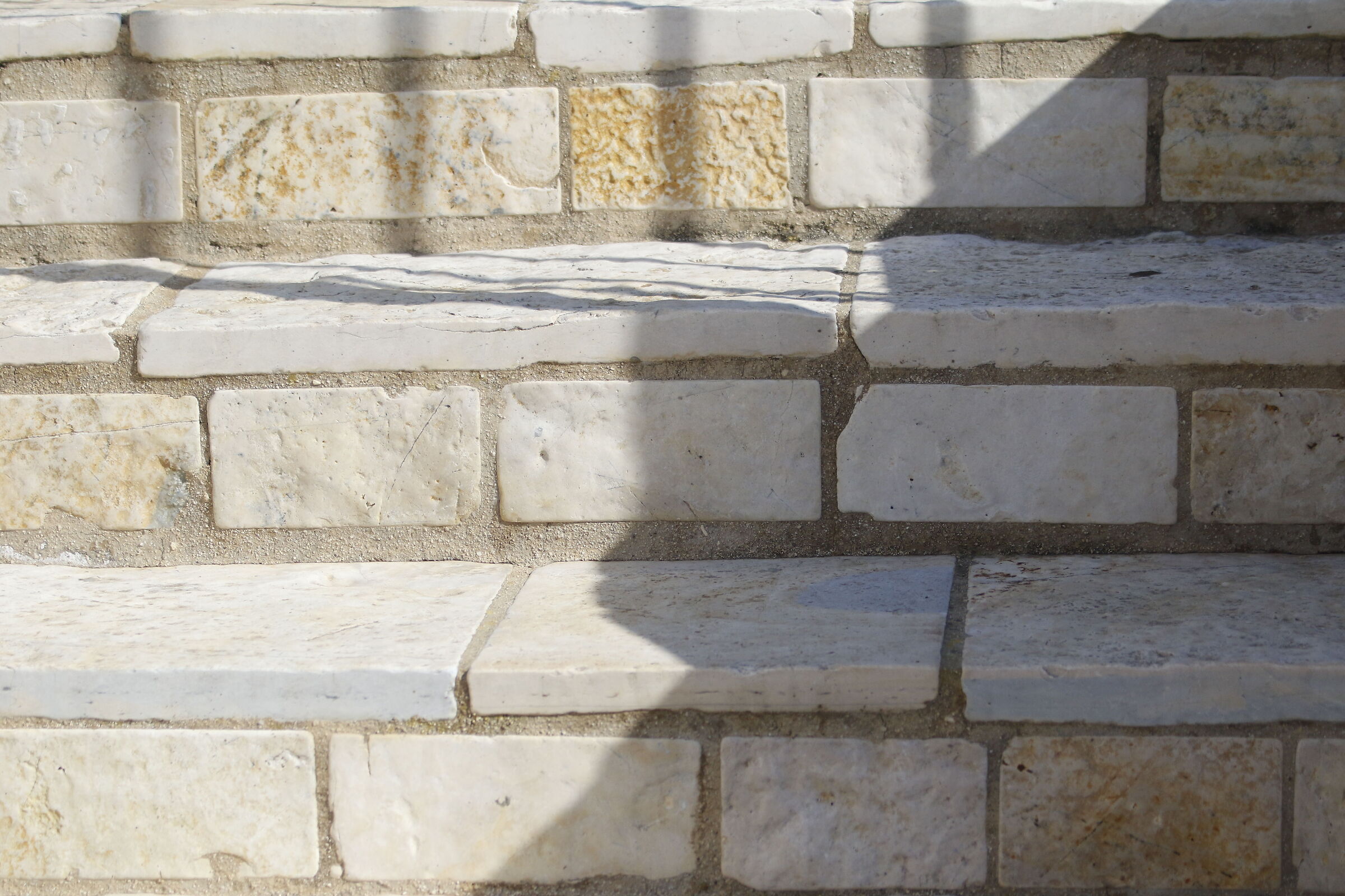 Canon 7D II- 70-300 DO IS USM