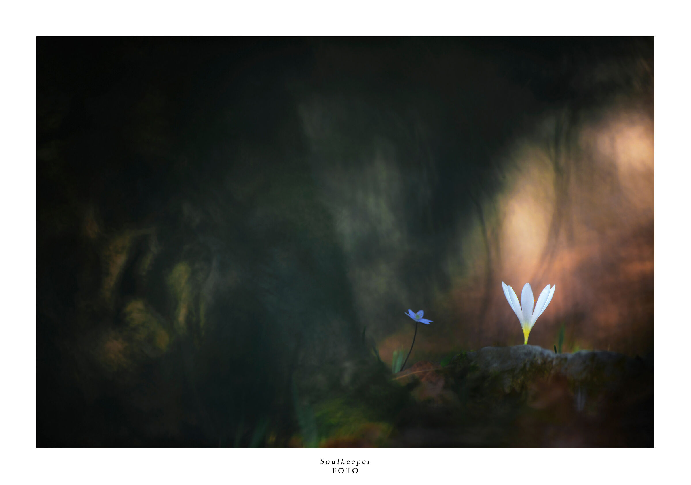 Una luce nelle tenebre.