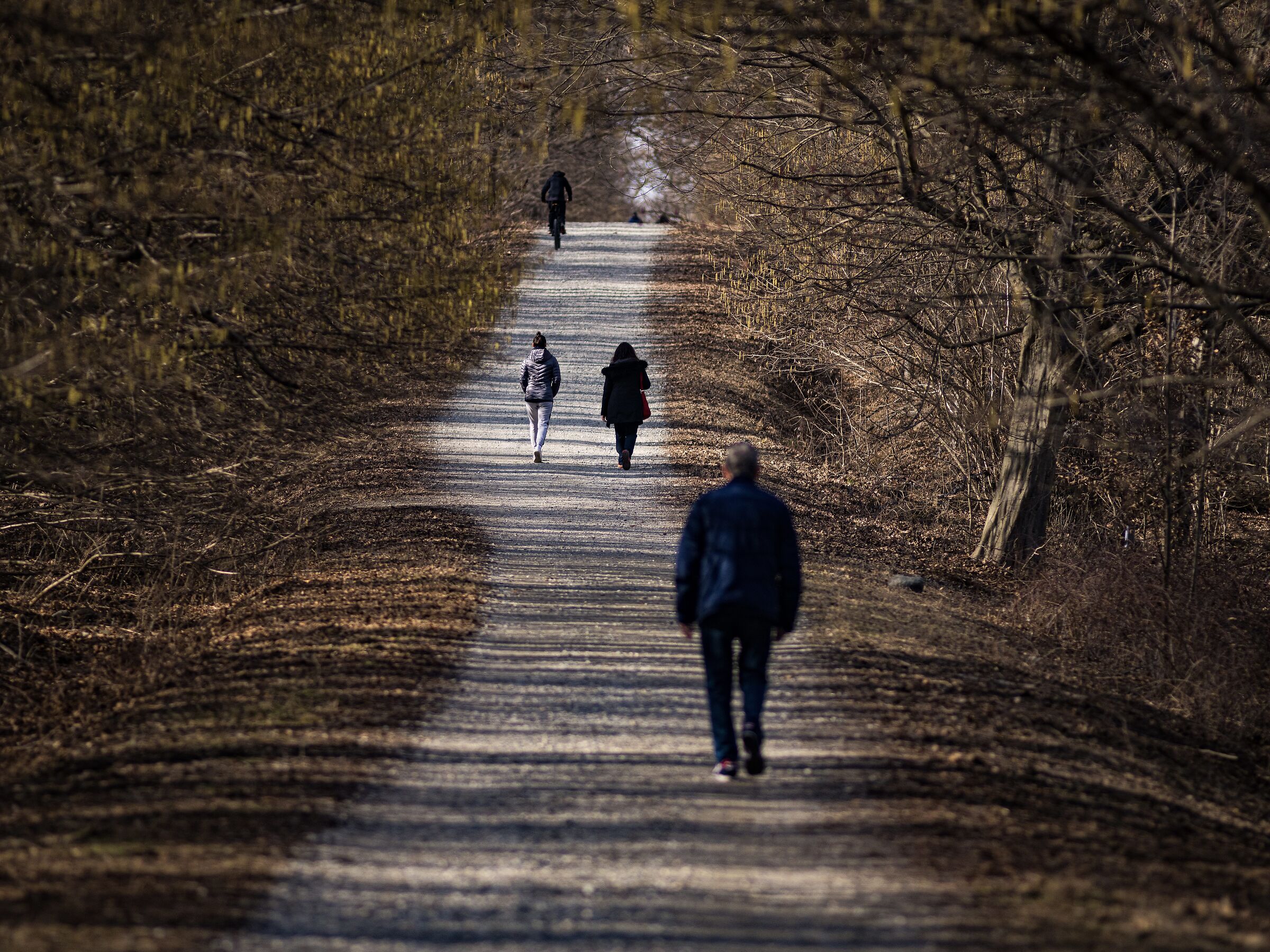 Parco della Mandria Torino