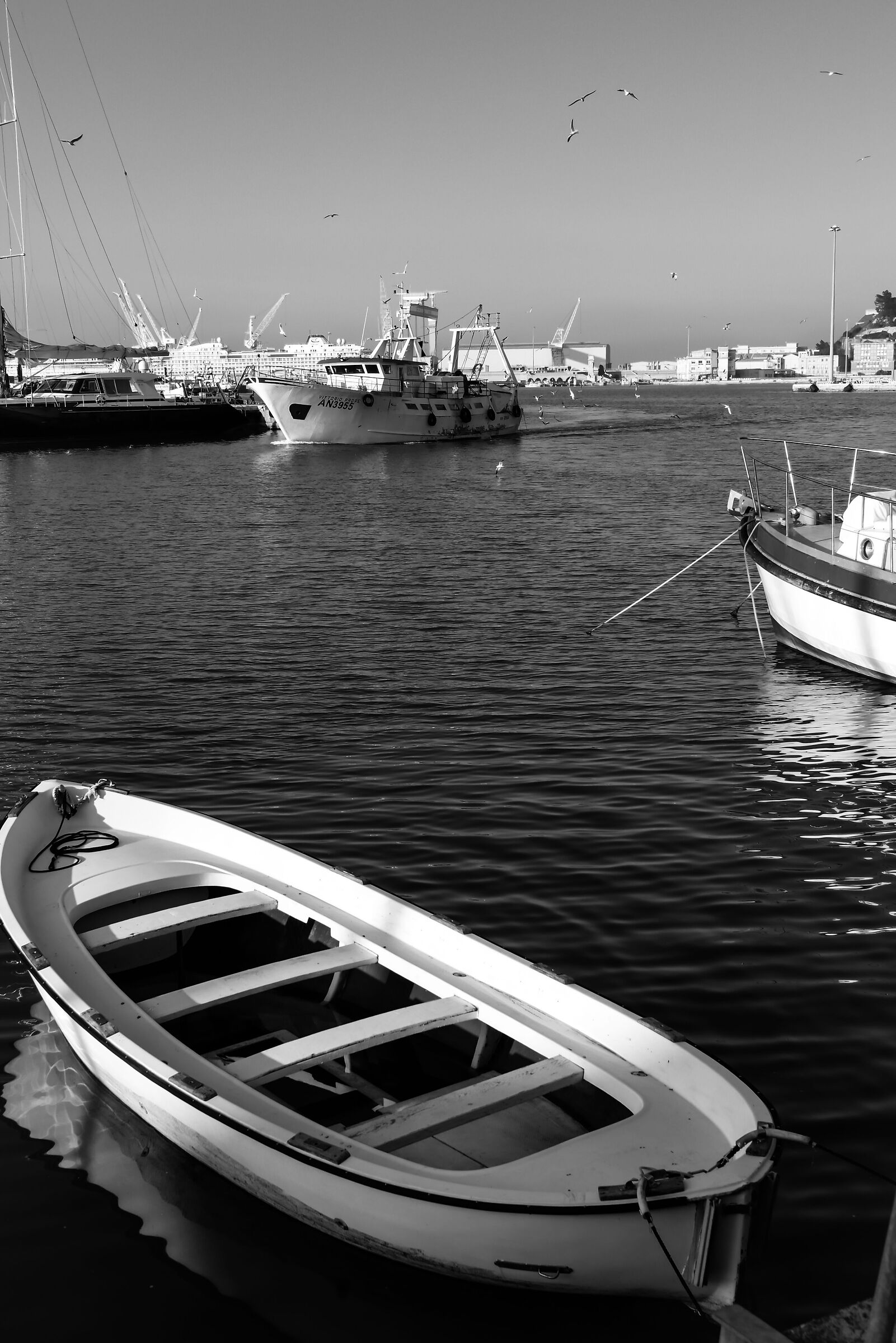 The port