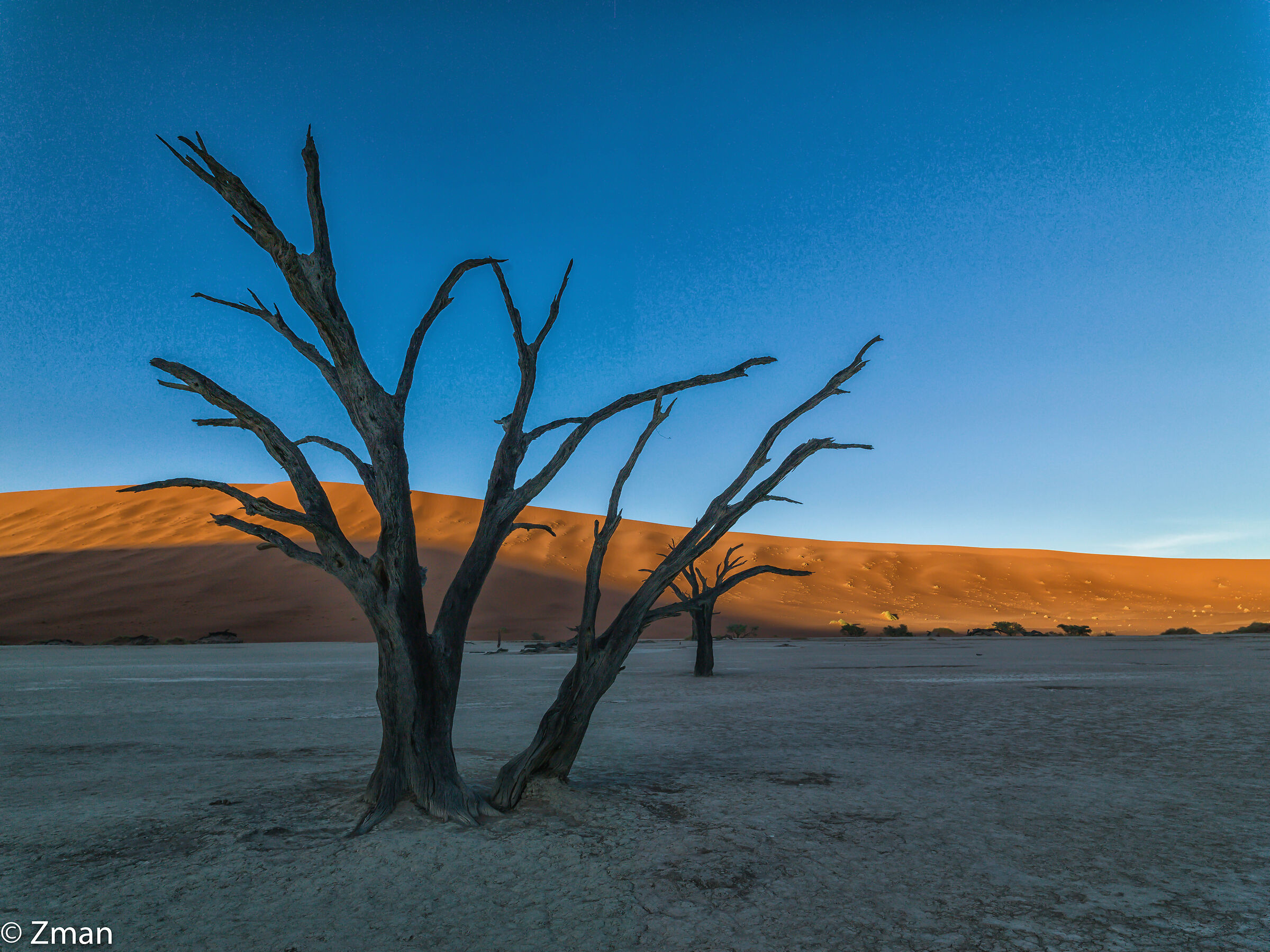 Deadflei Alberi di acacia morti