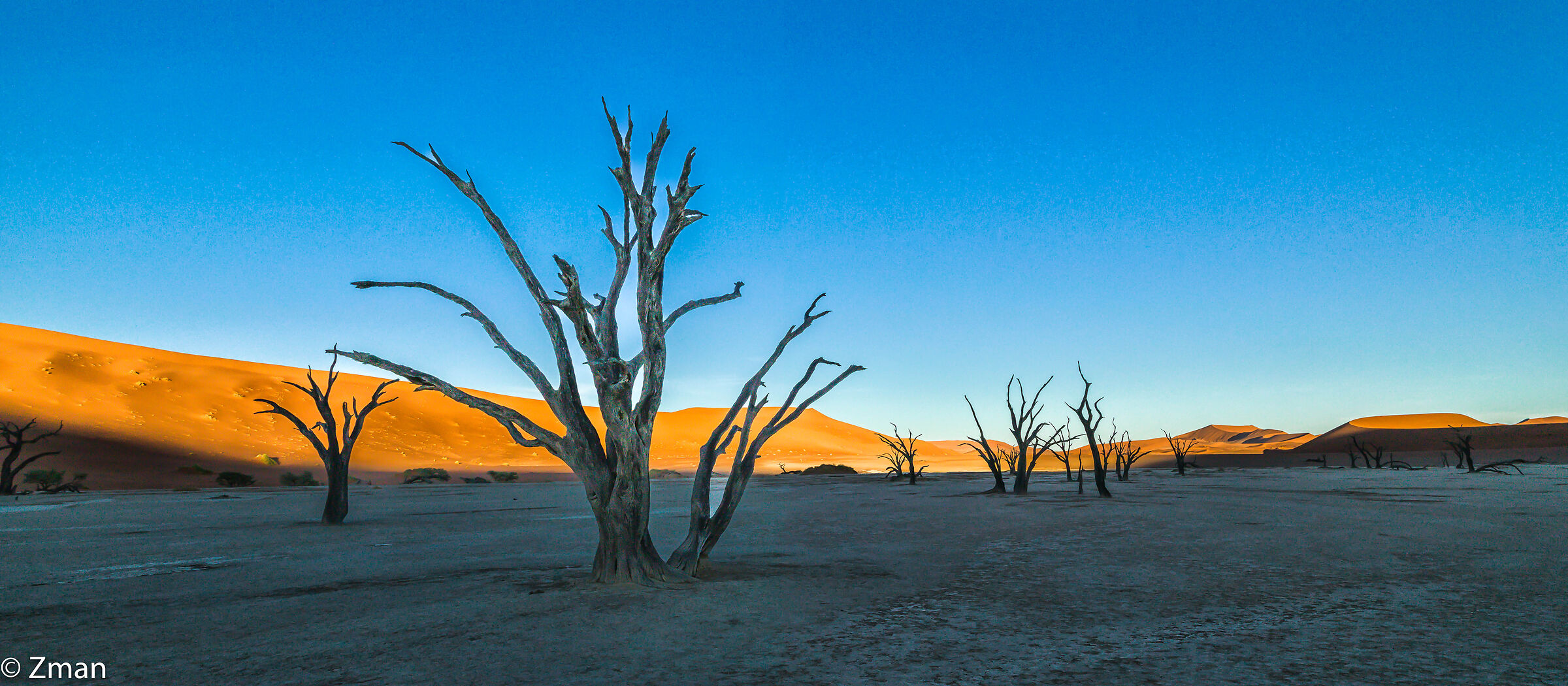 Deadflei Alberi di acacia morti
