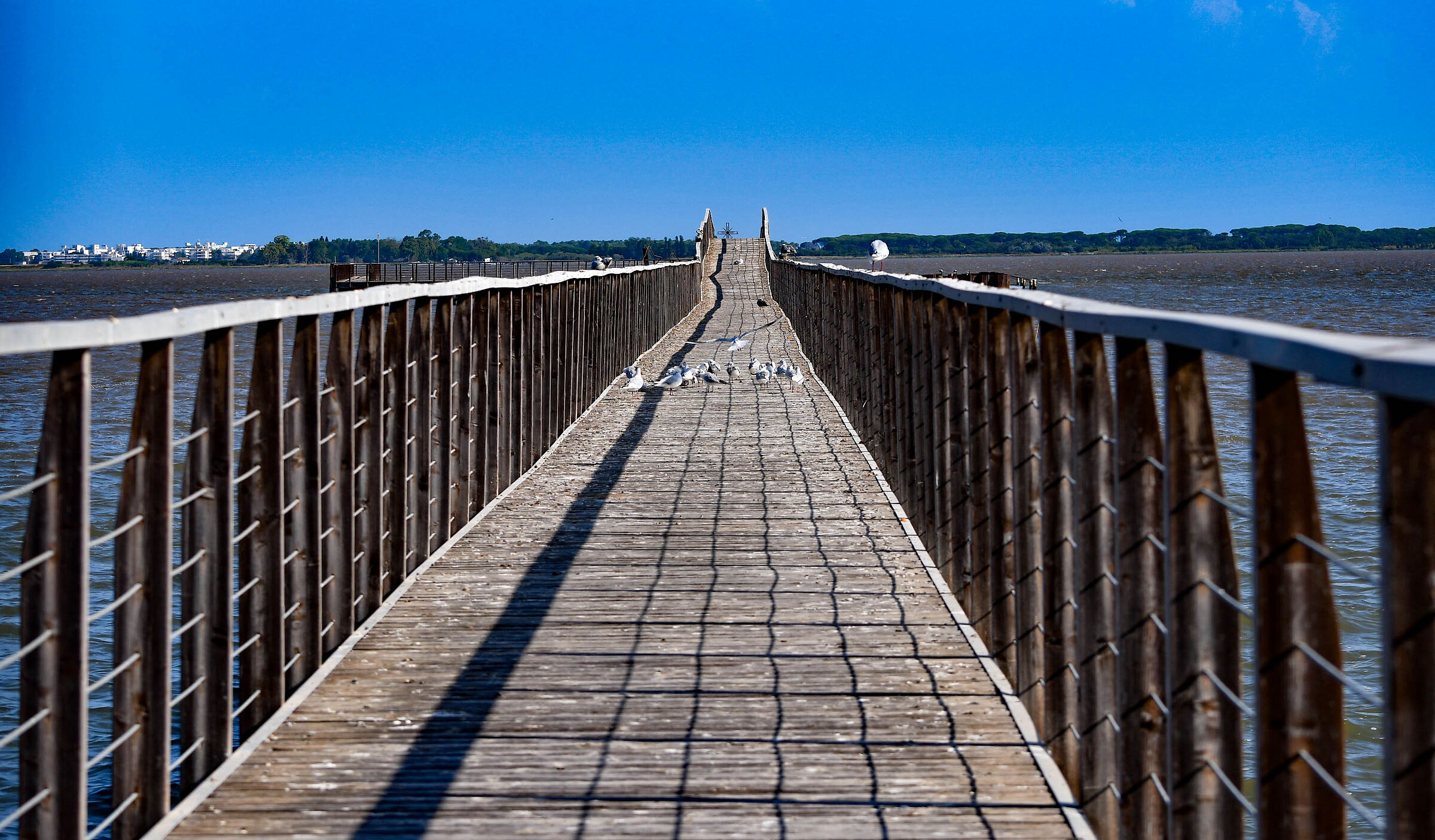 Ponte del lago Lesina