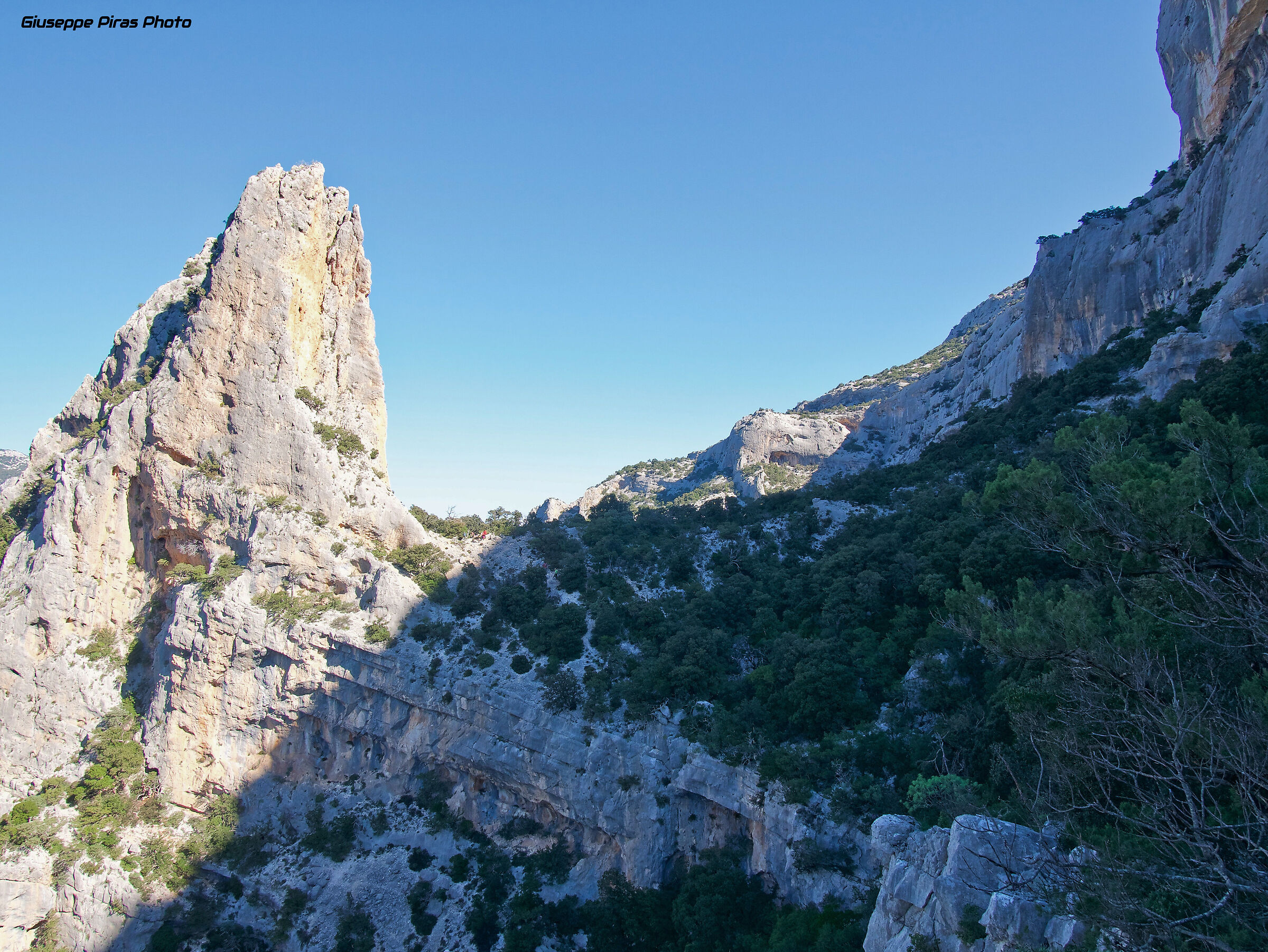 Monte Garbau - Supramonte di Urzulei