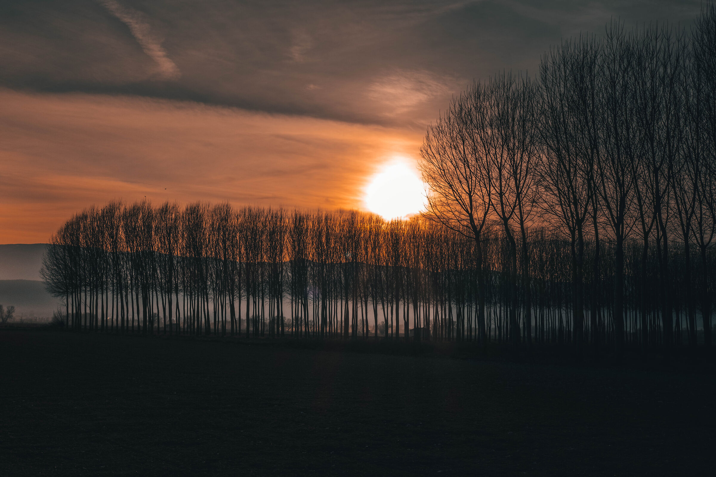 sunset