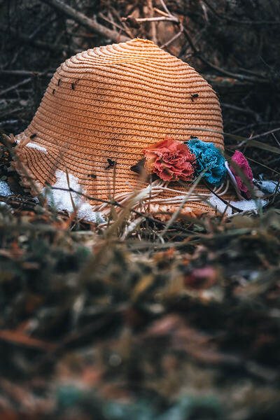 Foto