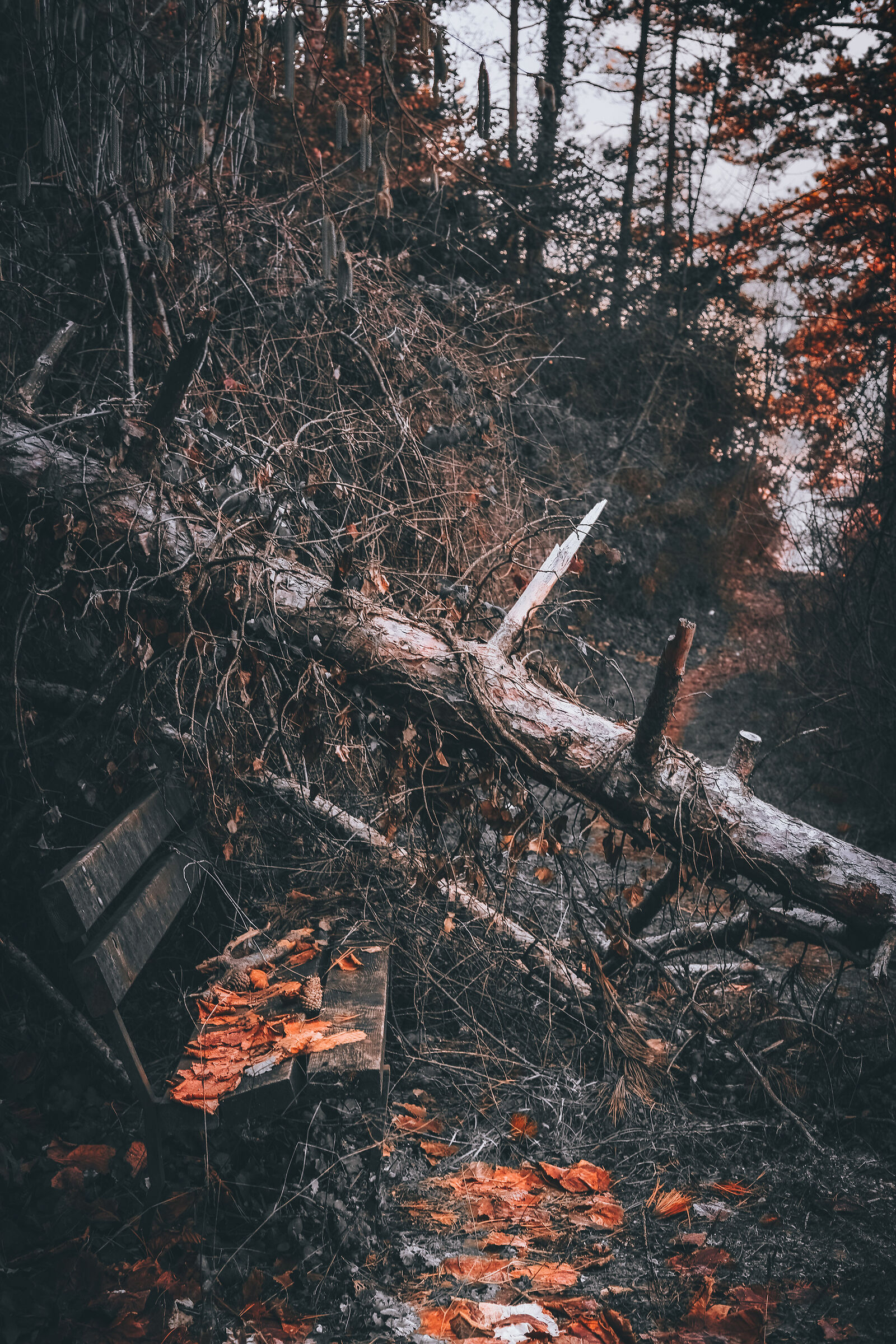 Abandonment
