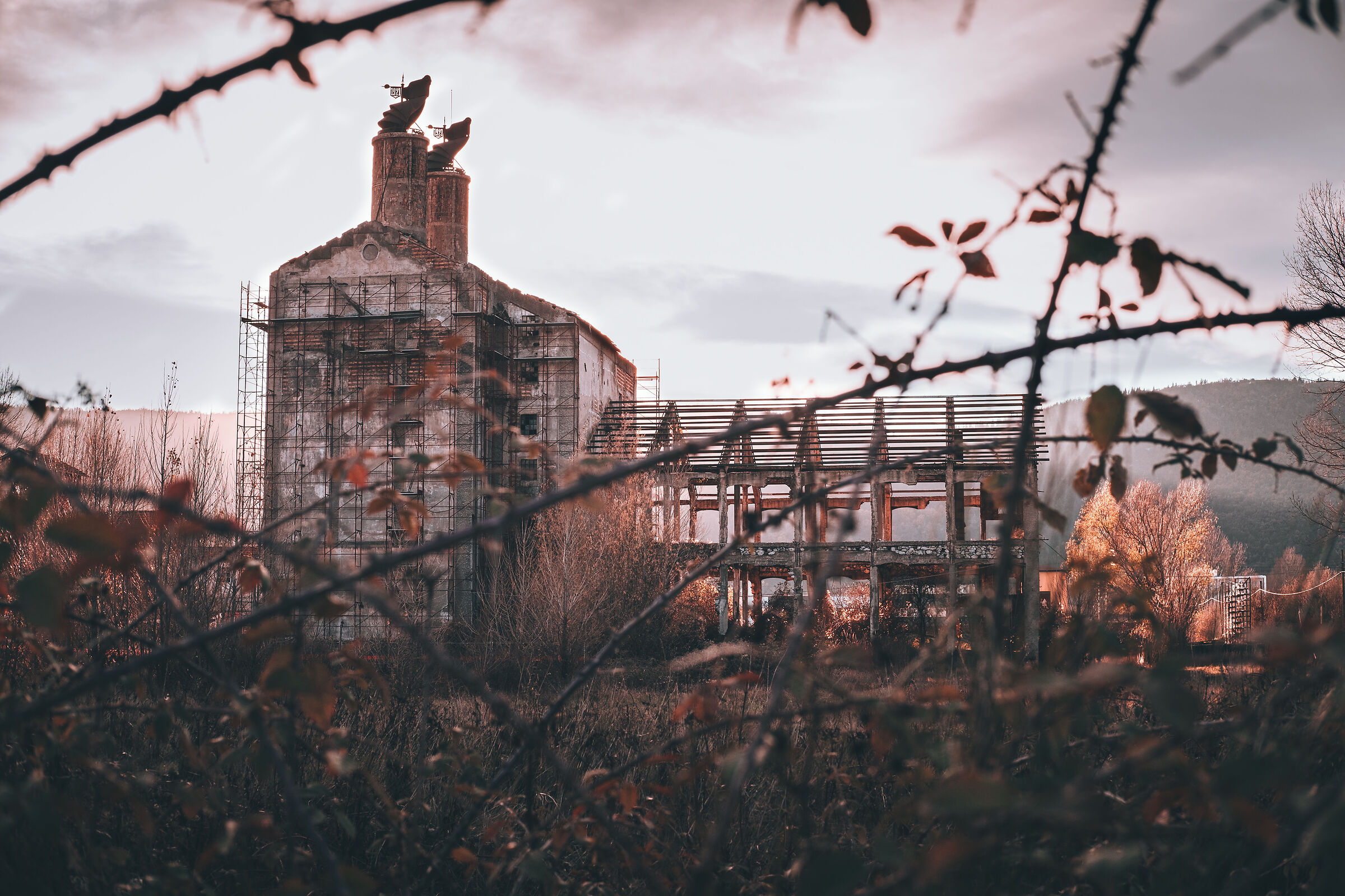 abandoned