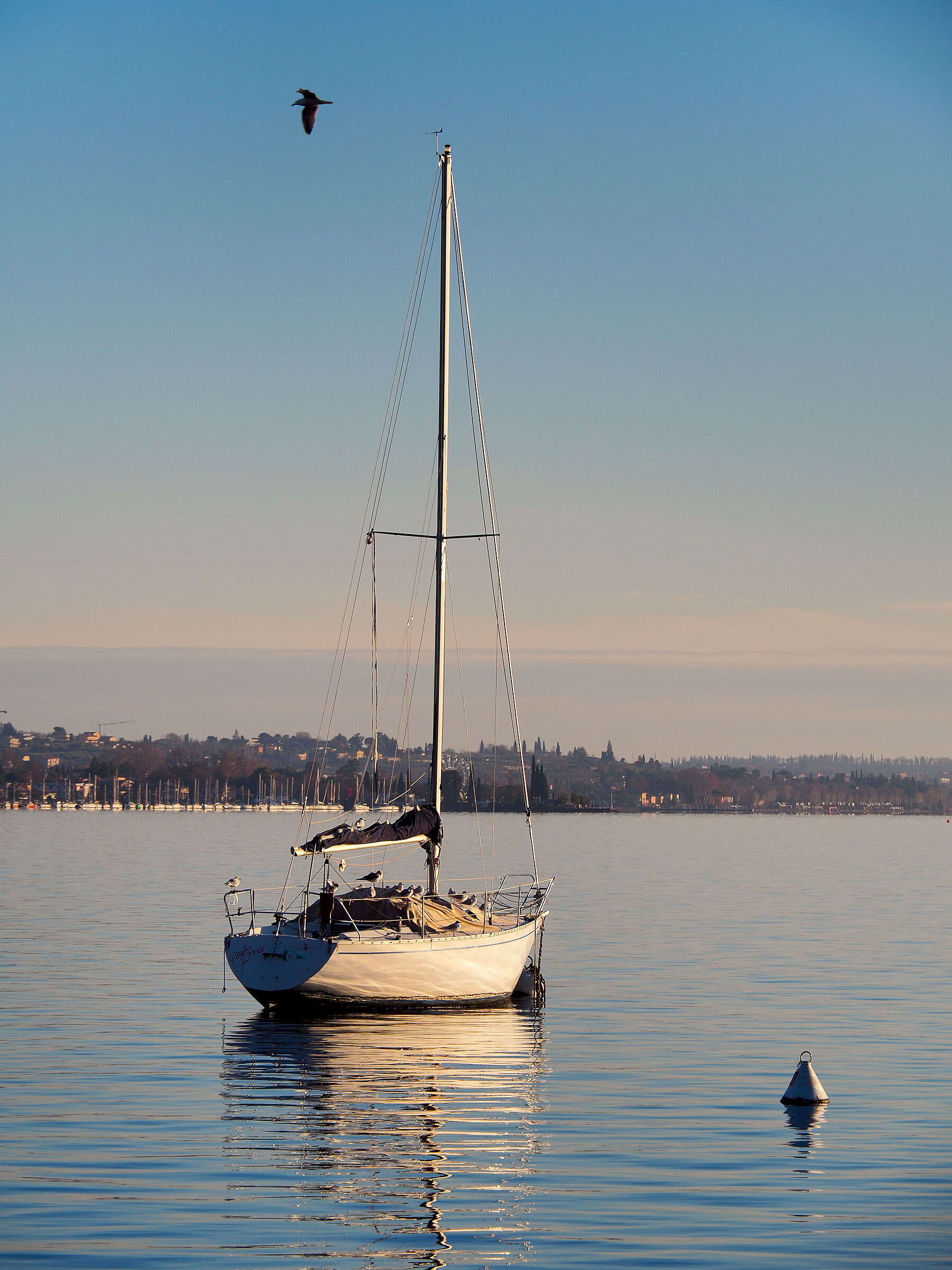 sailboat at the end of the day