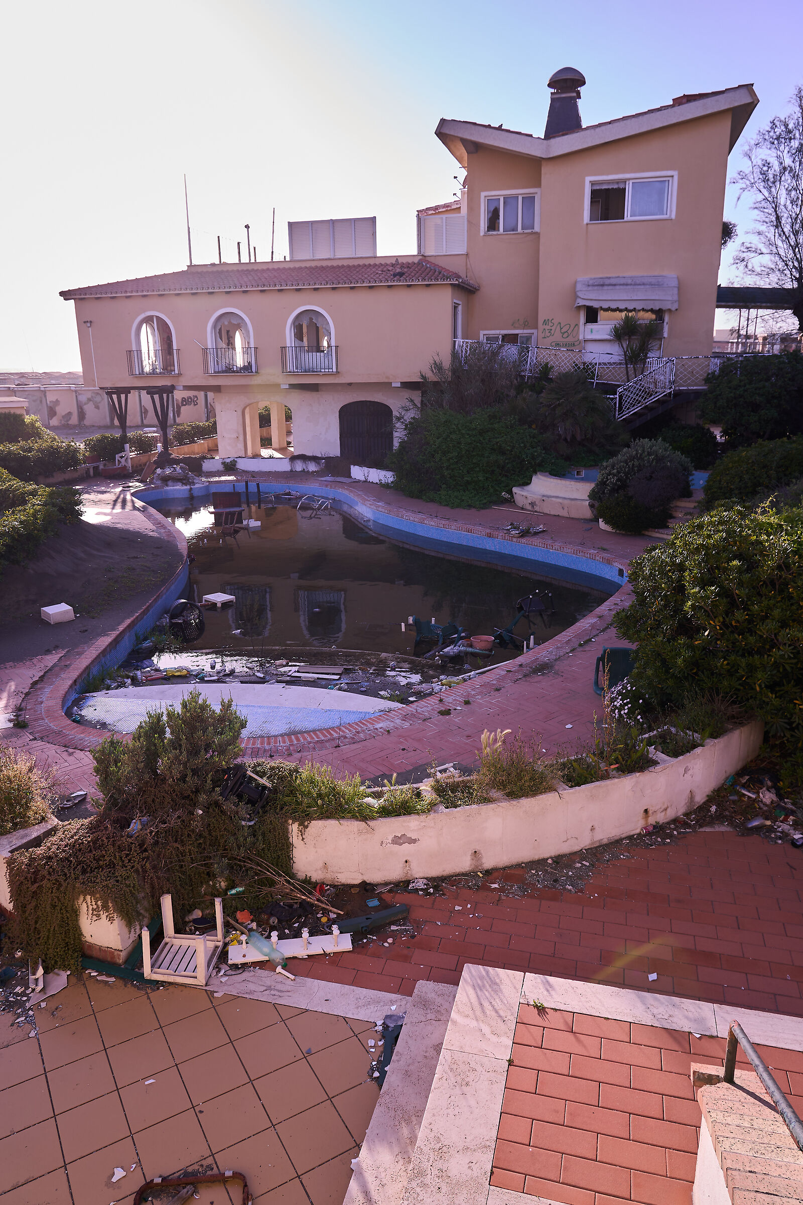 Untitled Photo