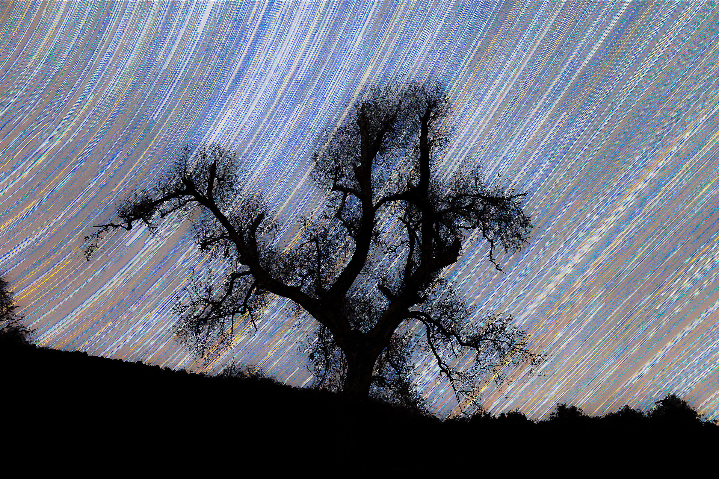 Startrail su base nera