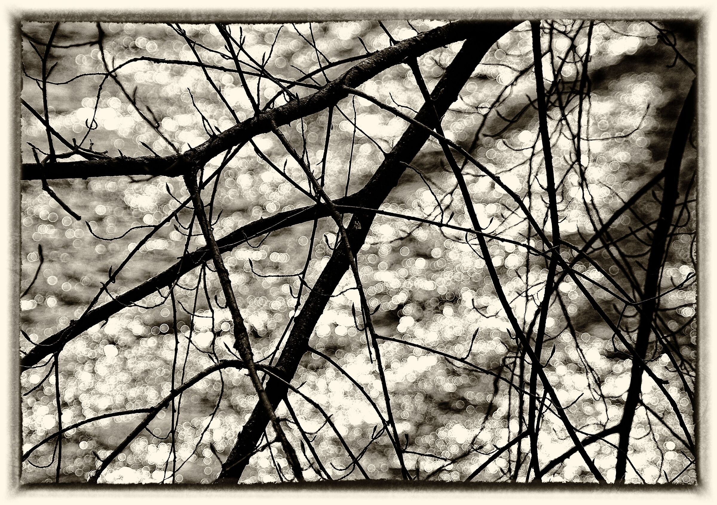 stream - black and white