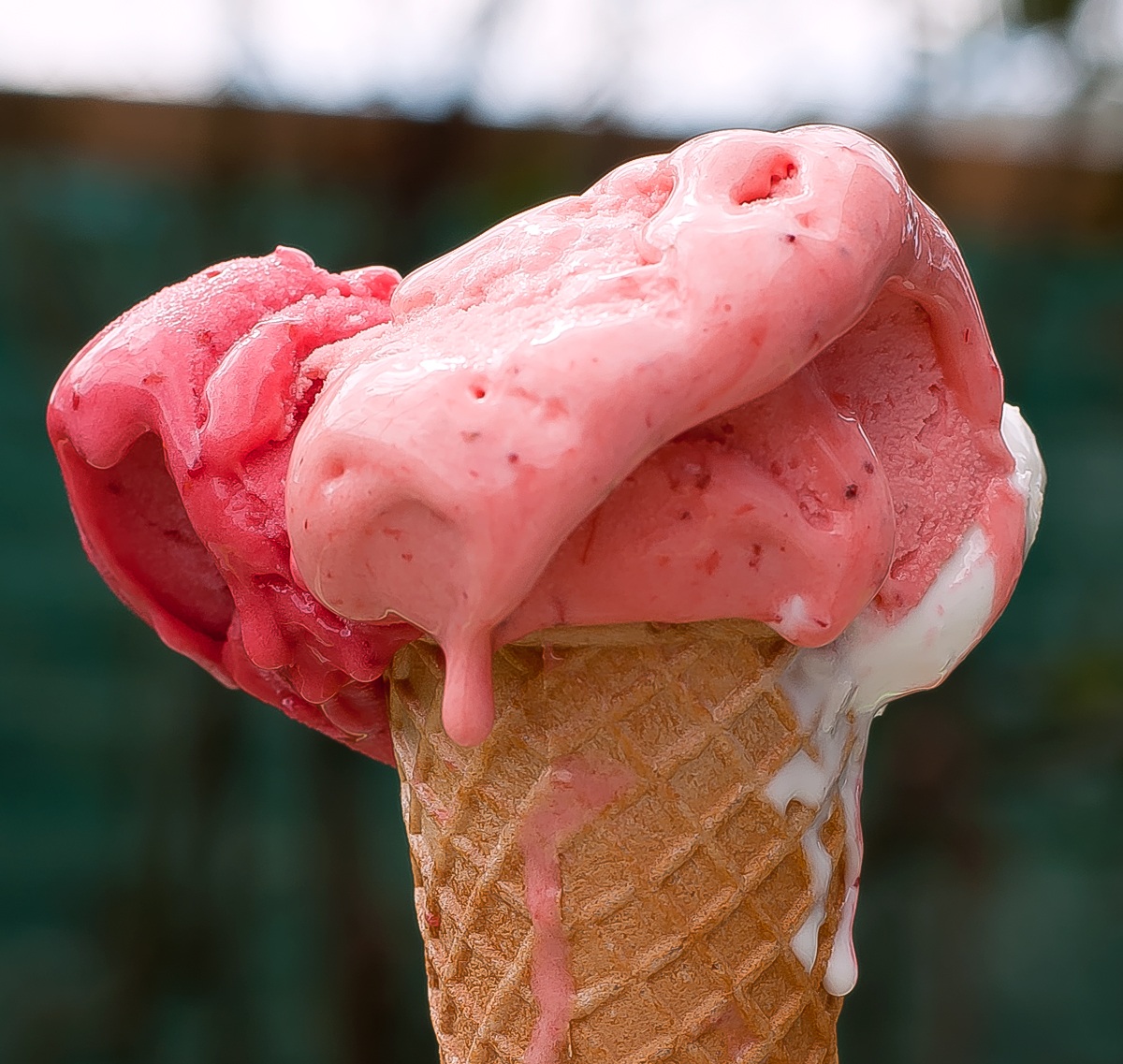 Tasty and buonoooooooooooo!!