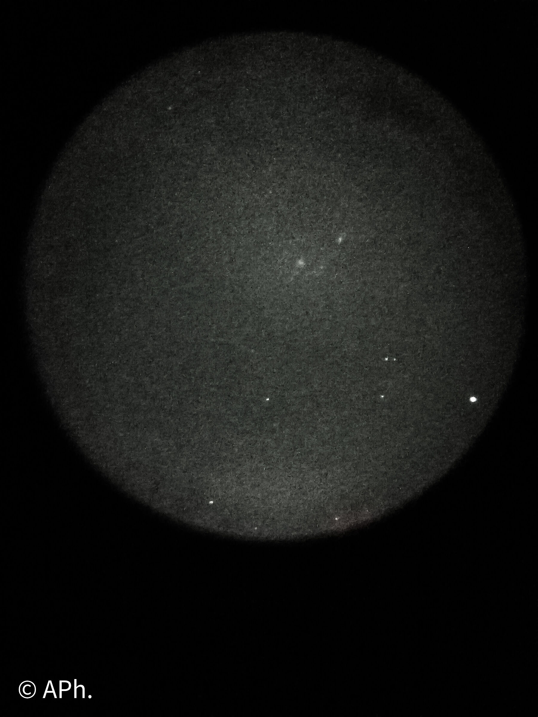 Vortex Alassia