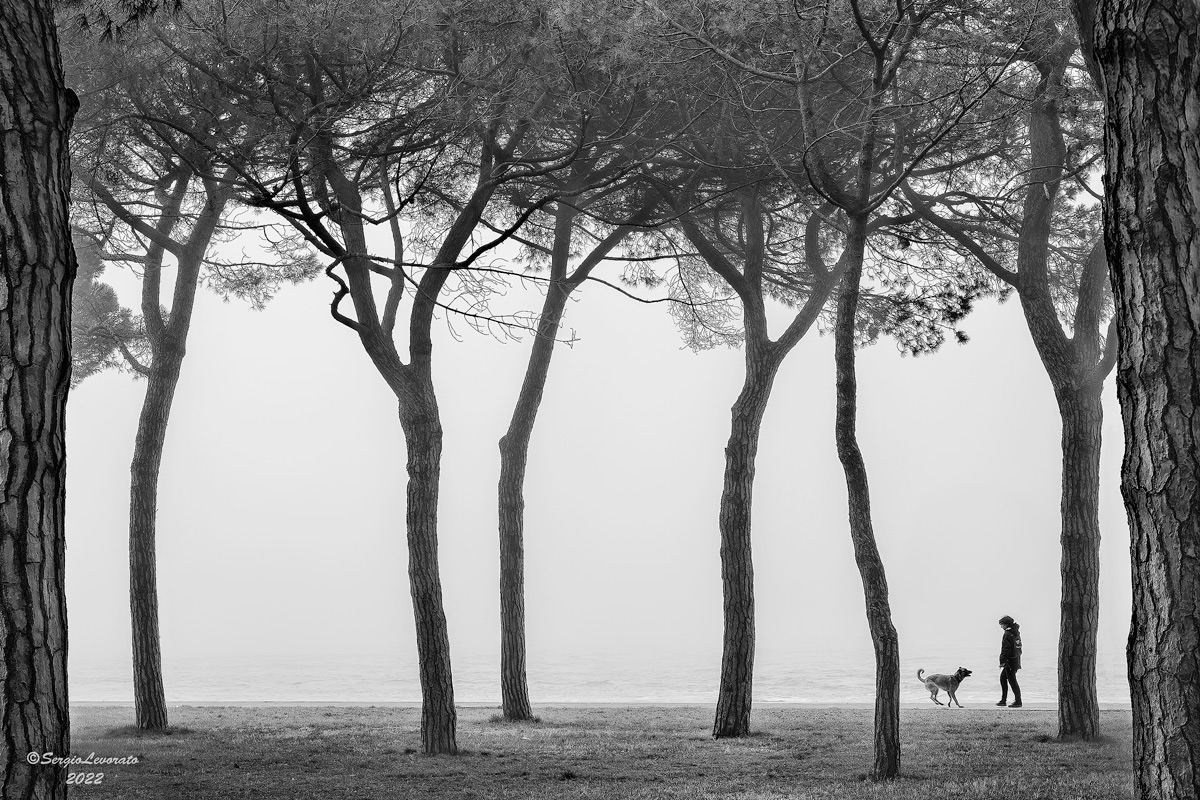 Story of a friendship