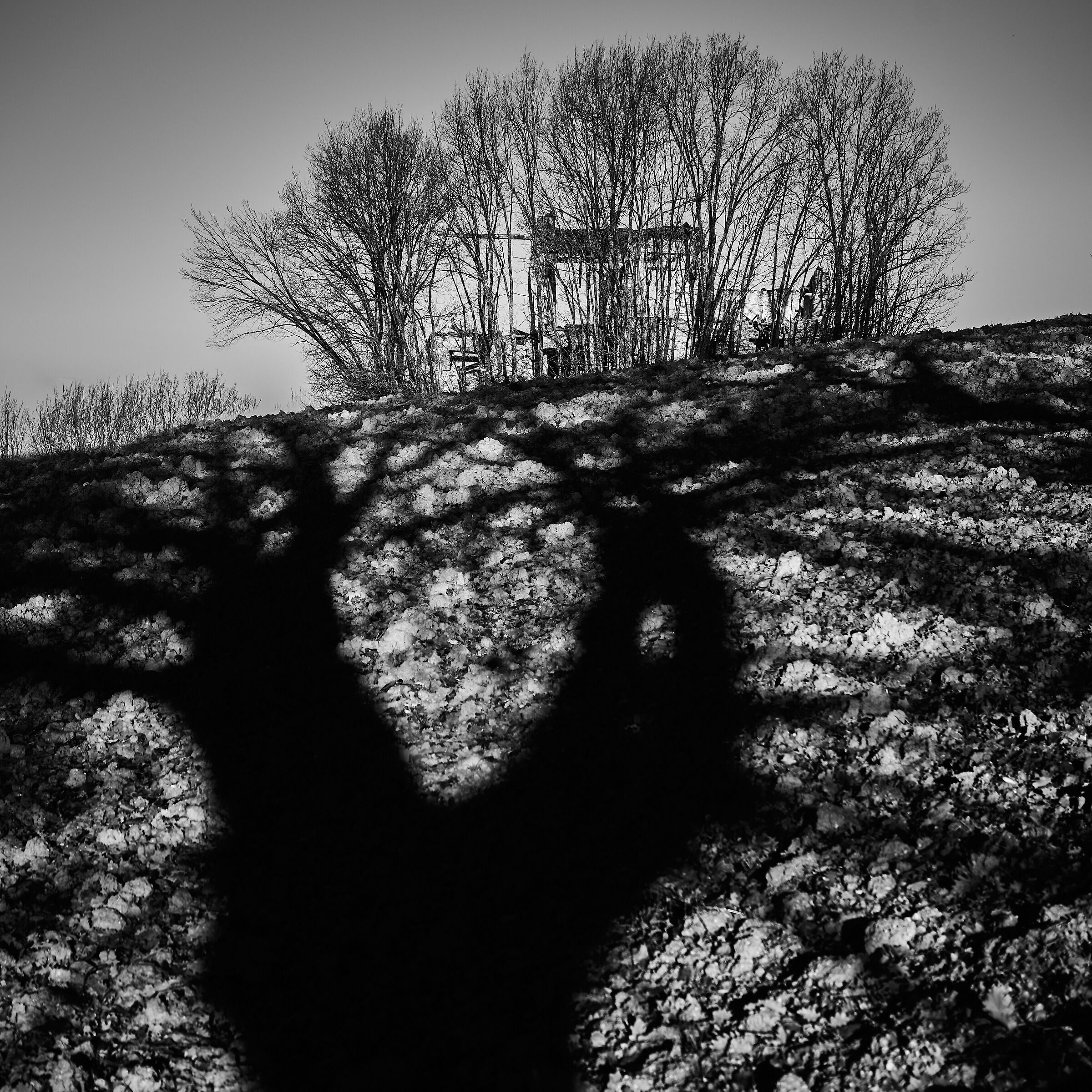 L'ombra come madre libera