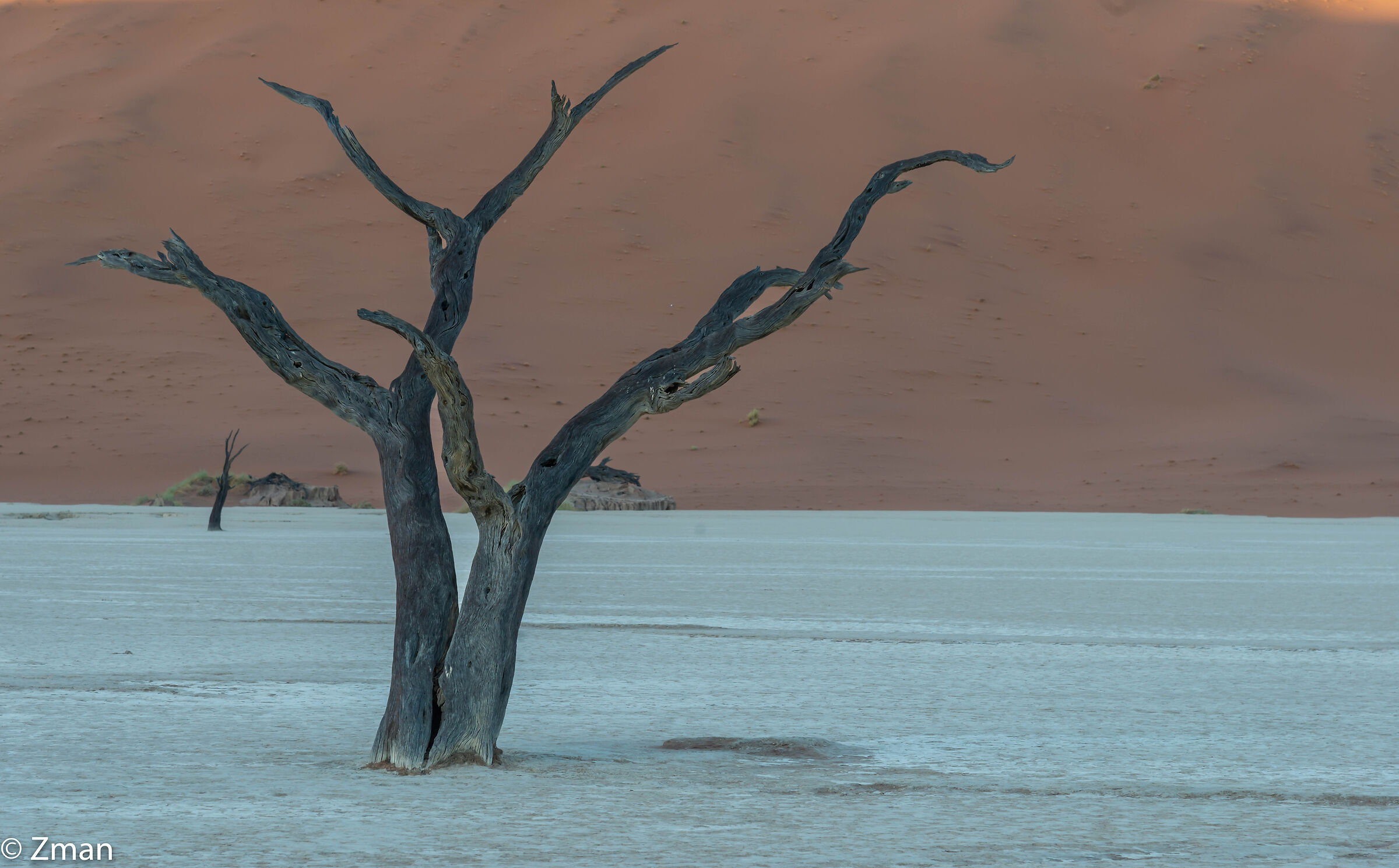 Deadflei Alberi di acacia morti
