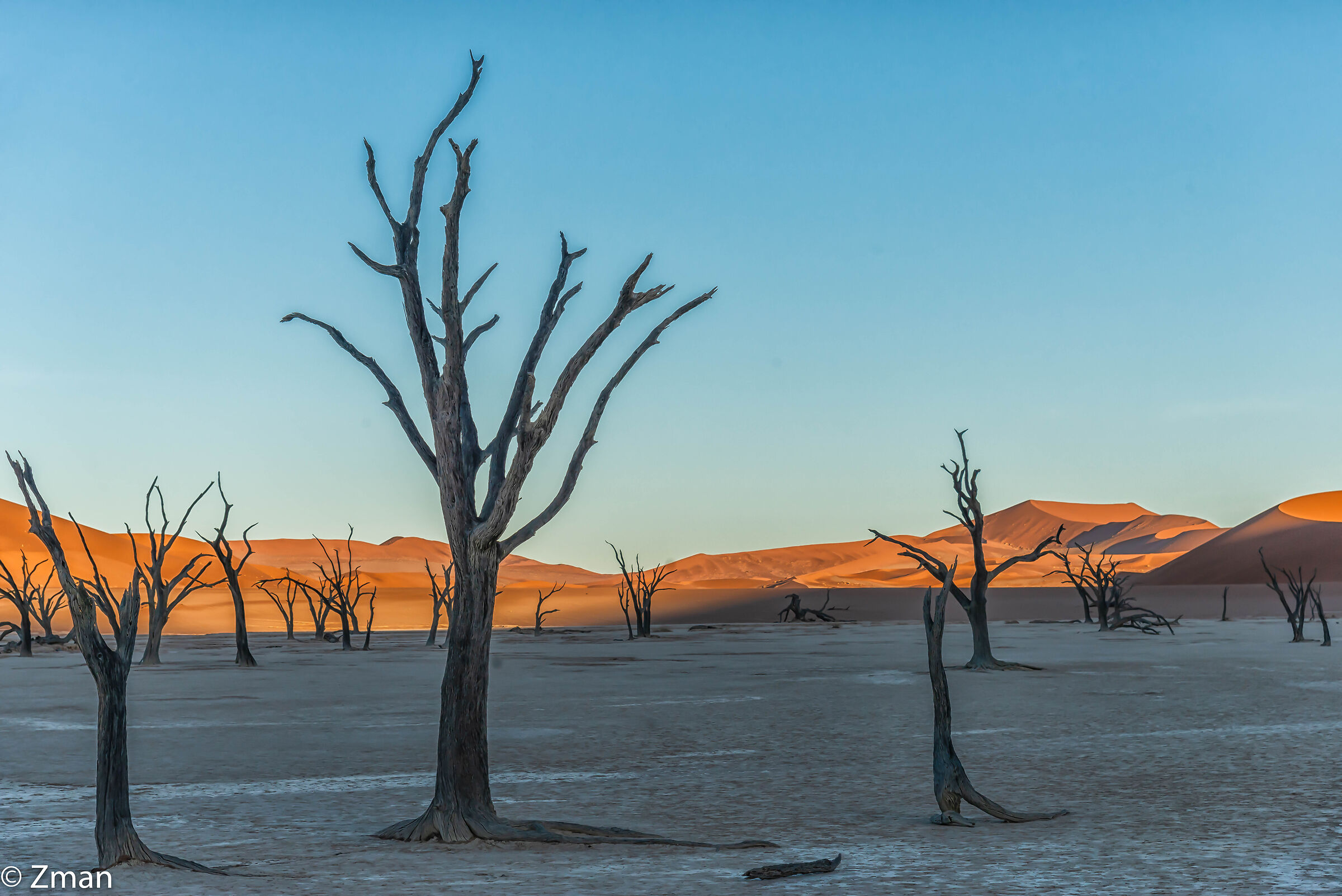 Deadflei Alberi di acacia morti