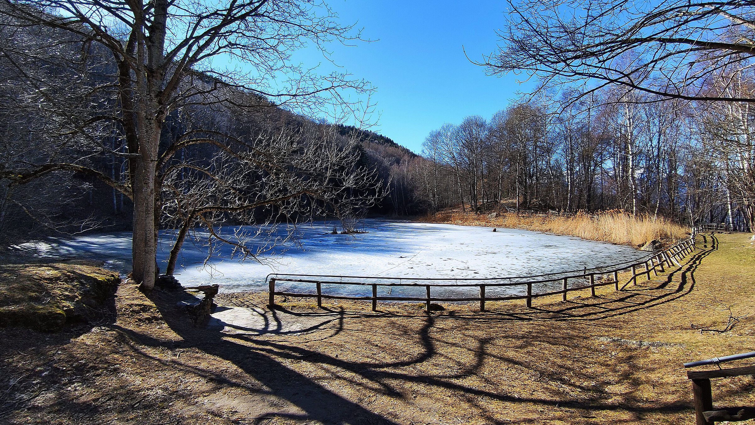 frog lake