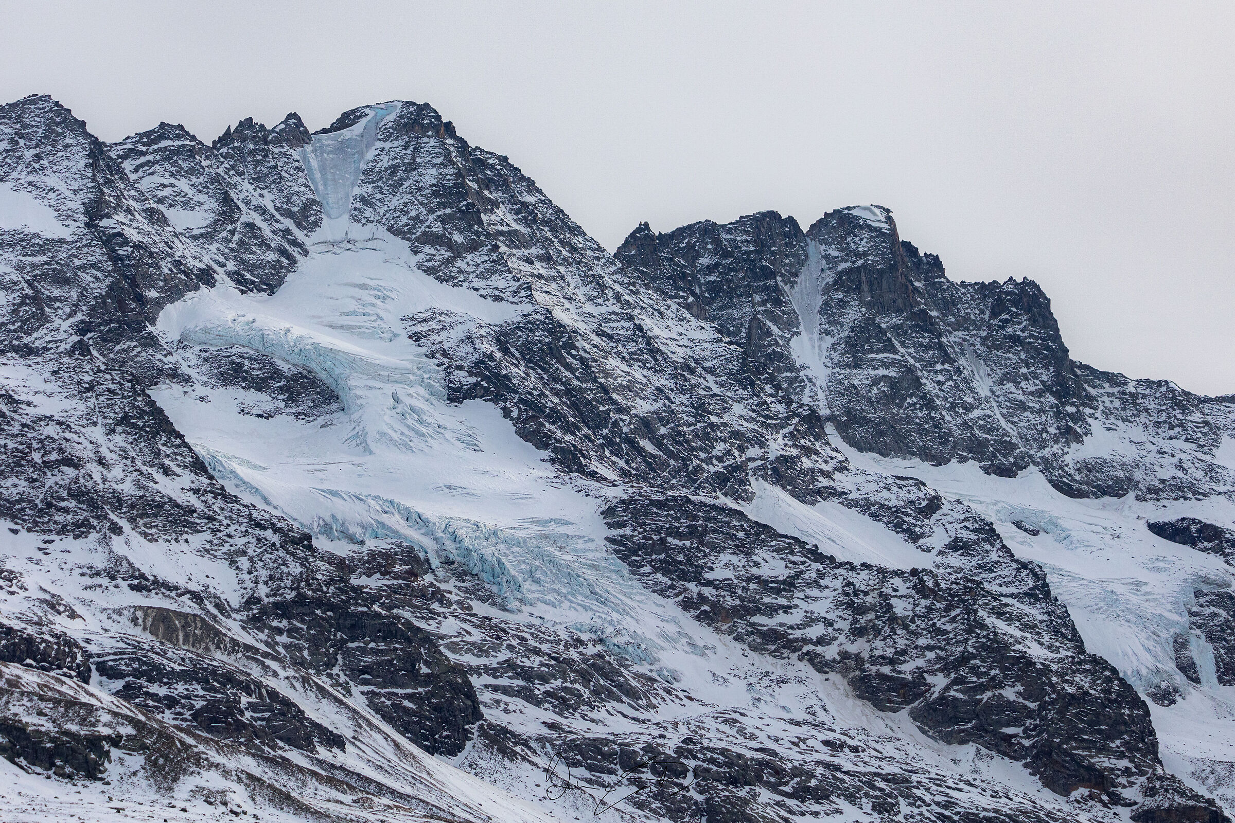 Speriamo non scompaiano*