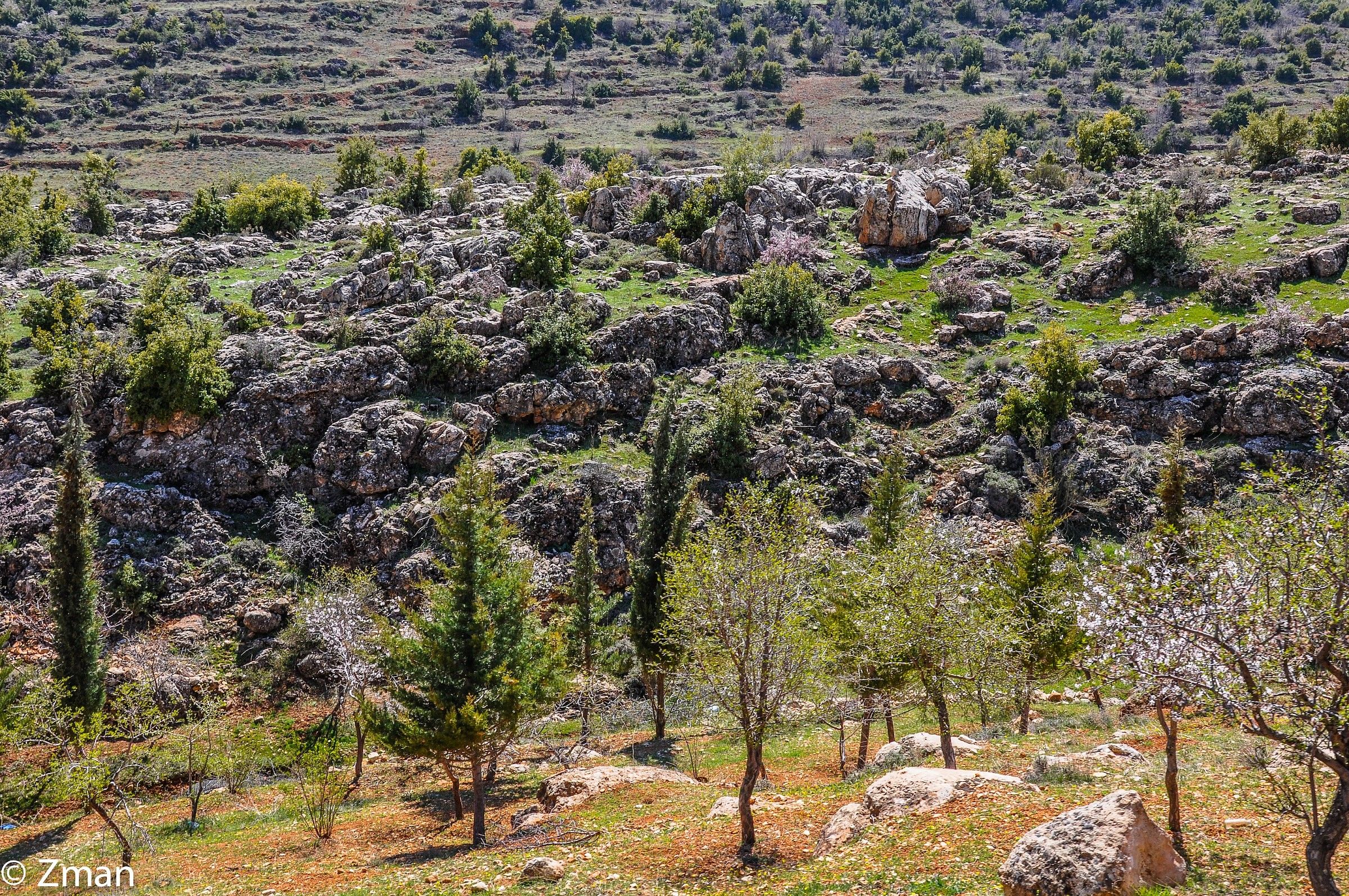 Trip To Harbata Village