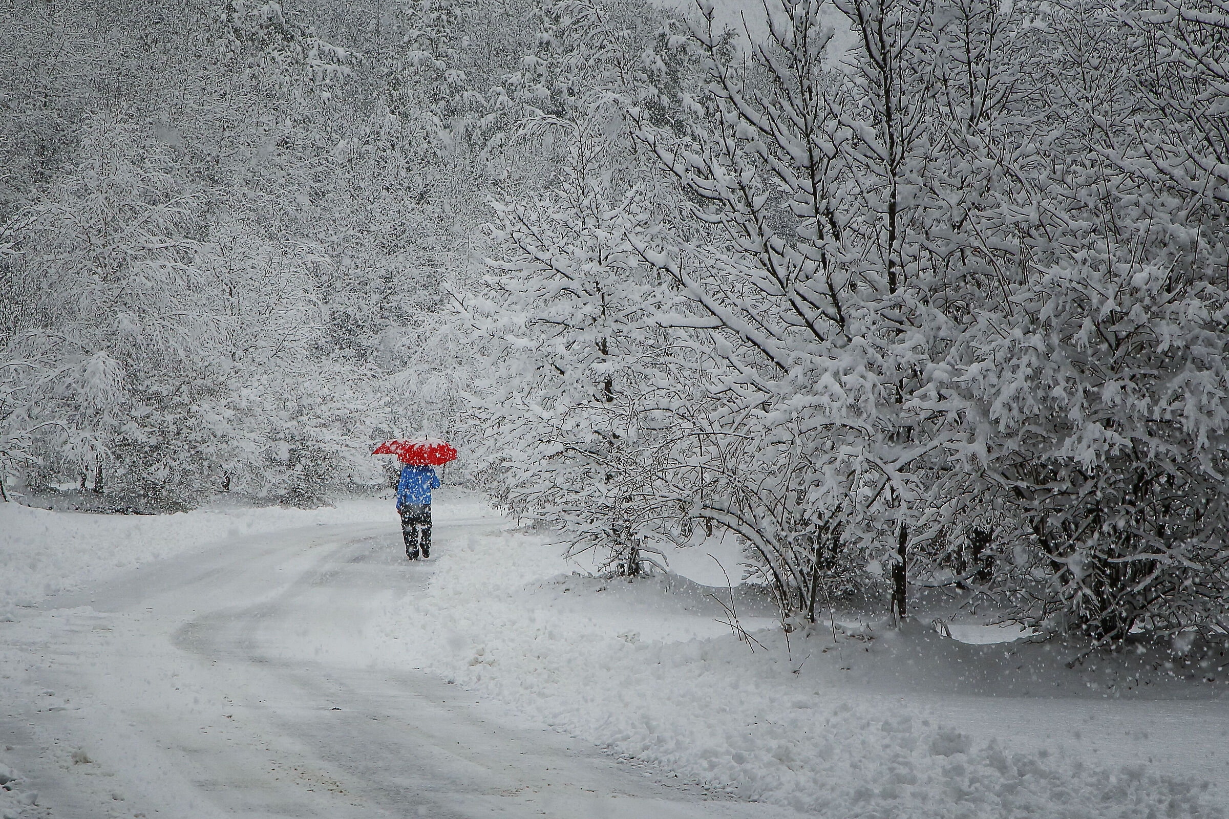 Nevicata di febbraio