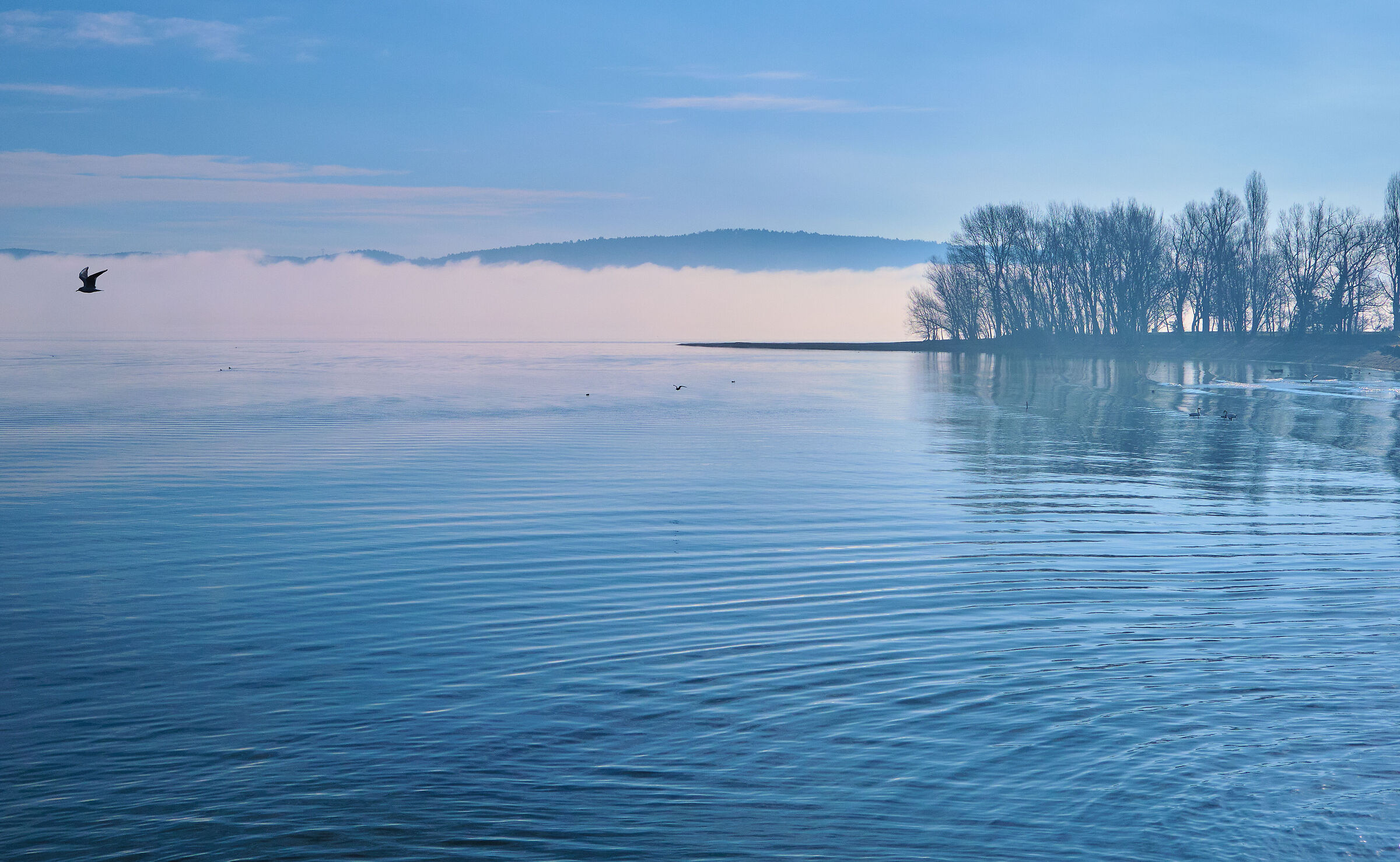 Lago Maggiore- Prime ore di un giorno invernale
