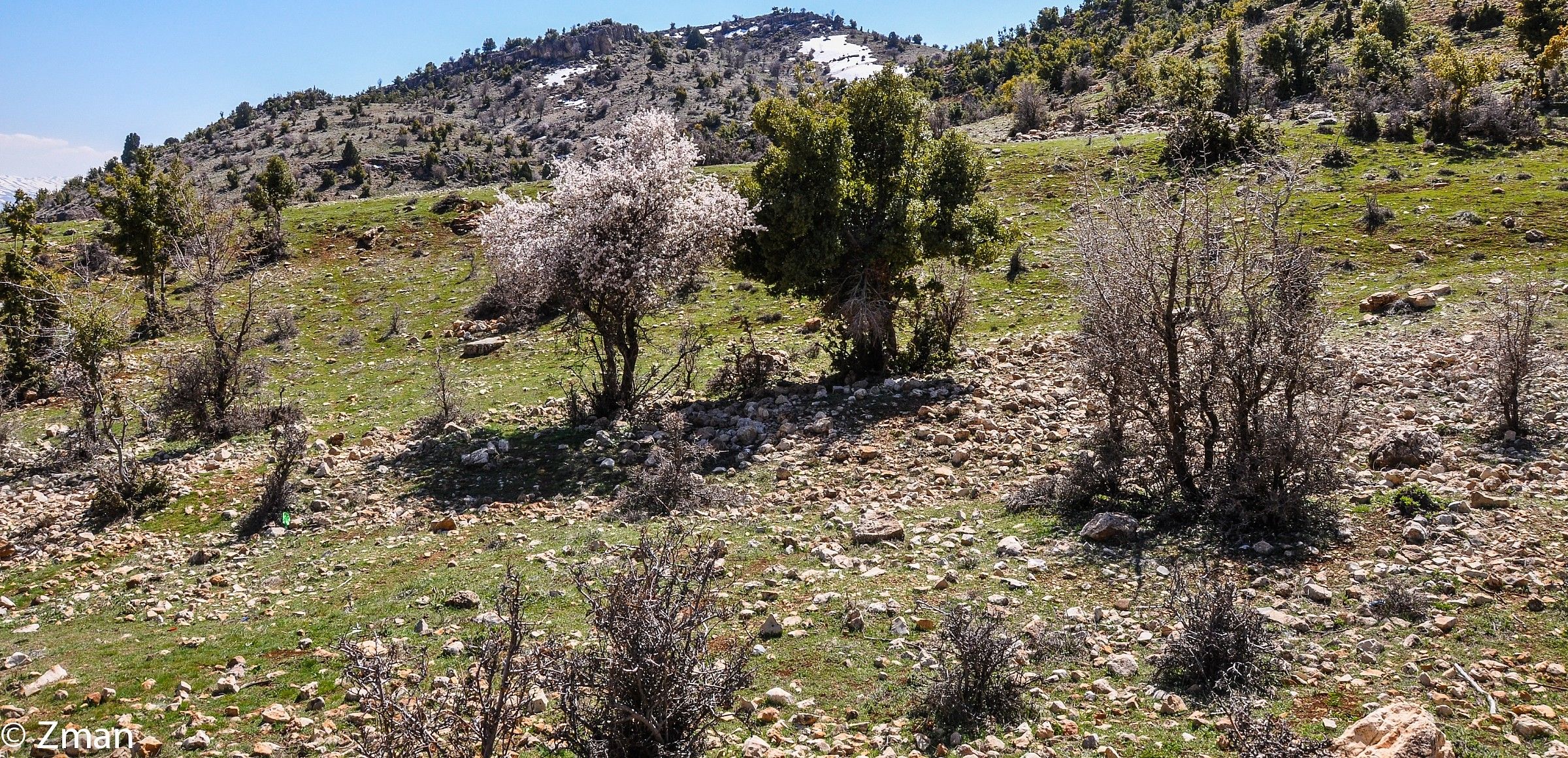 Trip To Harbata Village