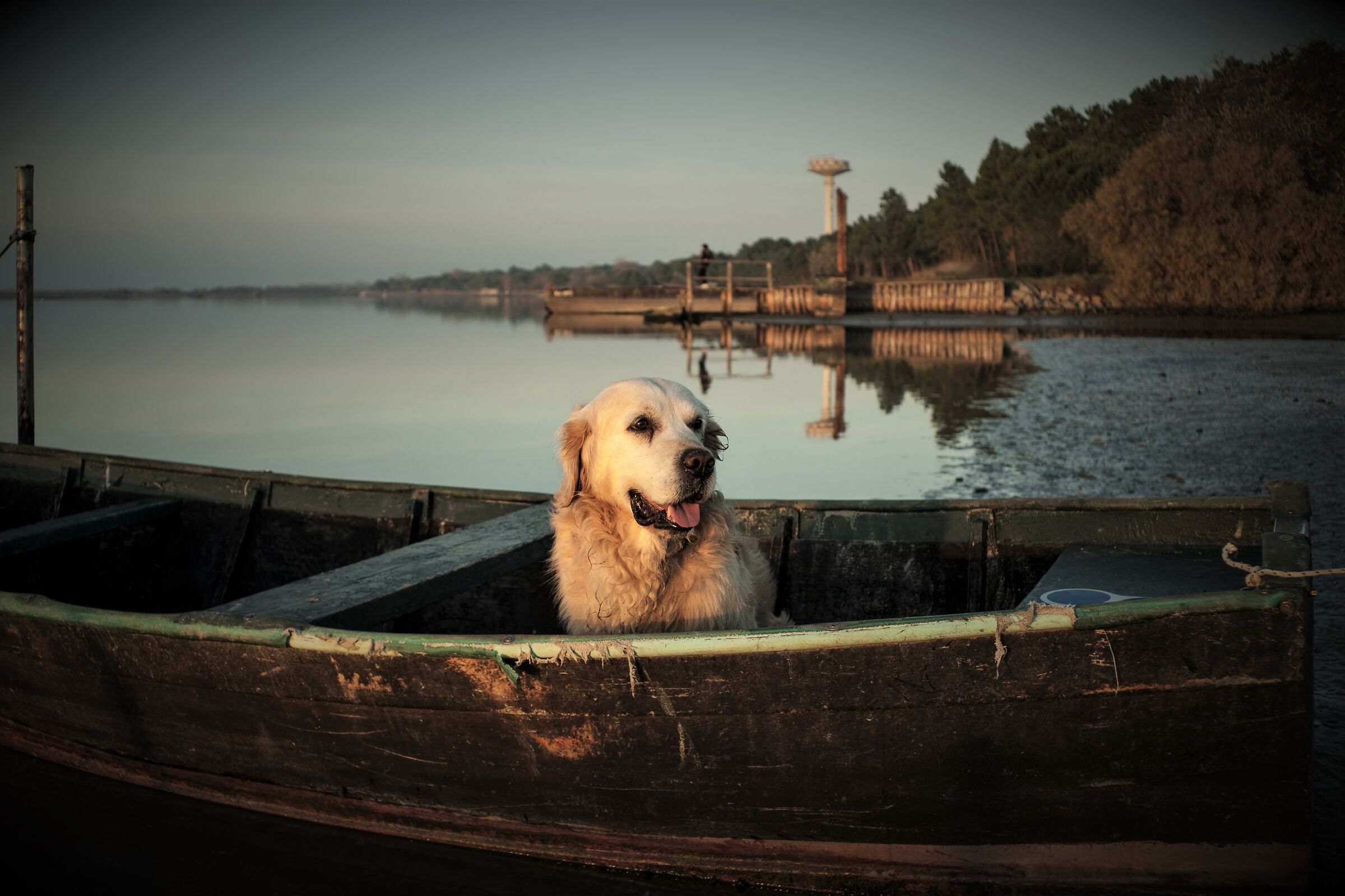 Non sono un clandestino 1