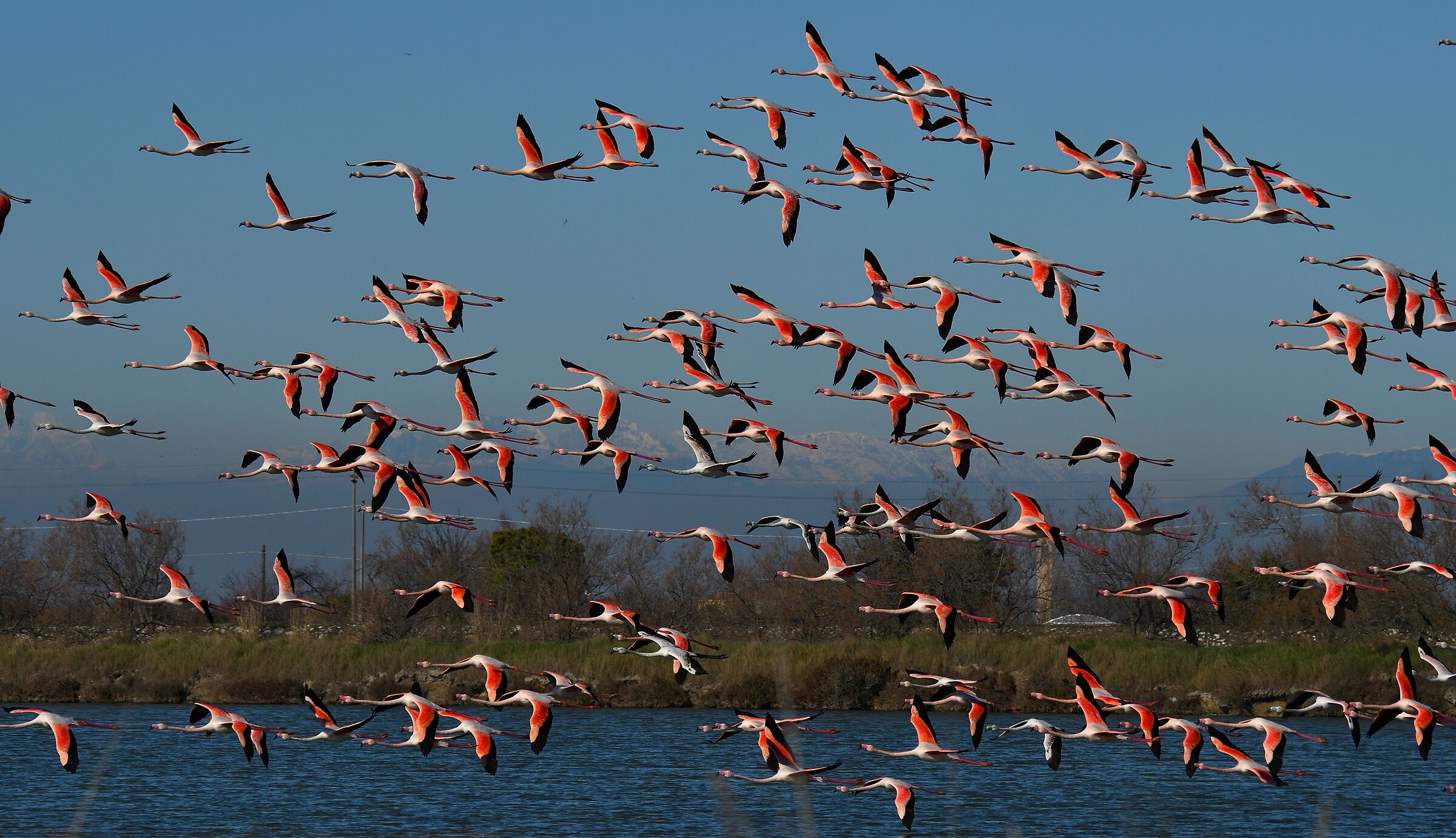 Nel blu dipinto di rosa