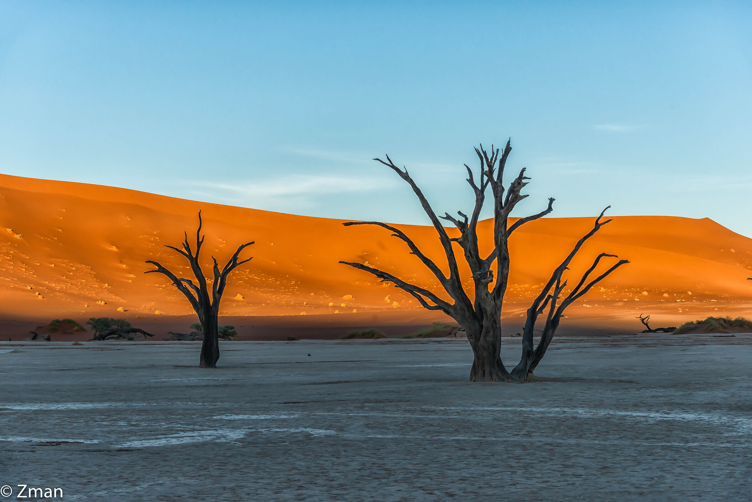 Deadflei Alberi di acacia morti