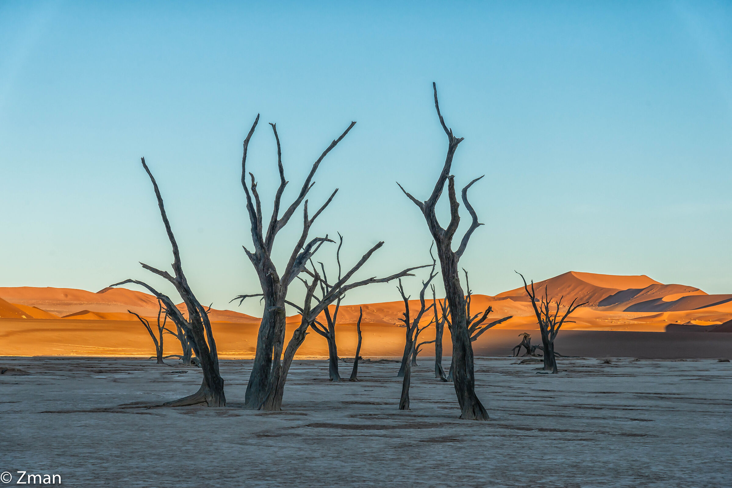 Deadflei Alberi di acacia morti