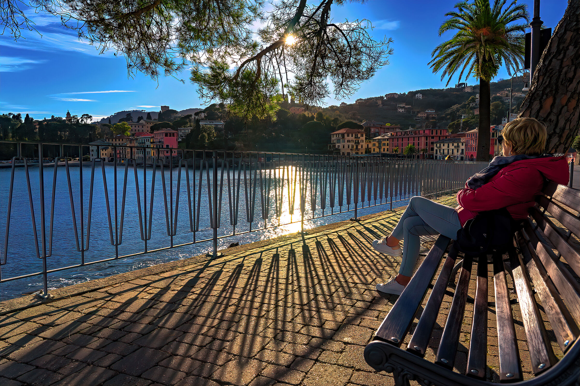 Red in the evening..............