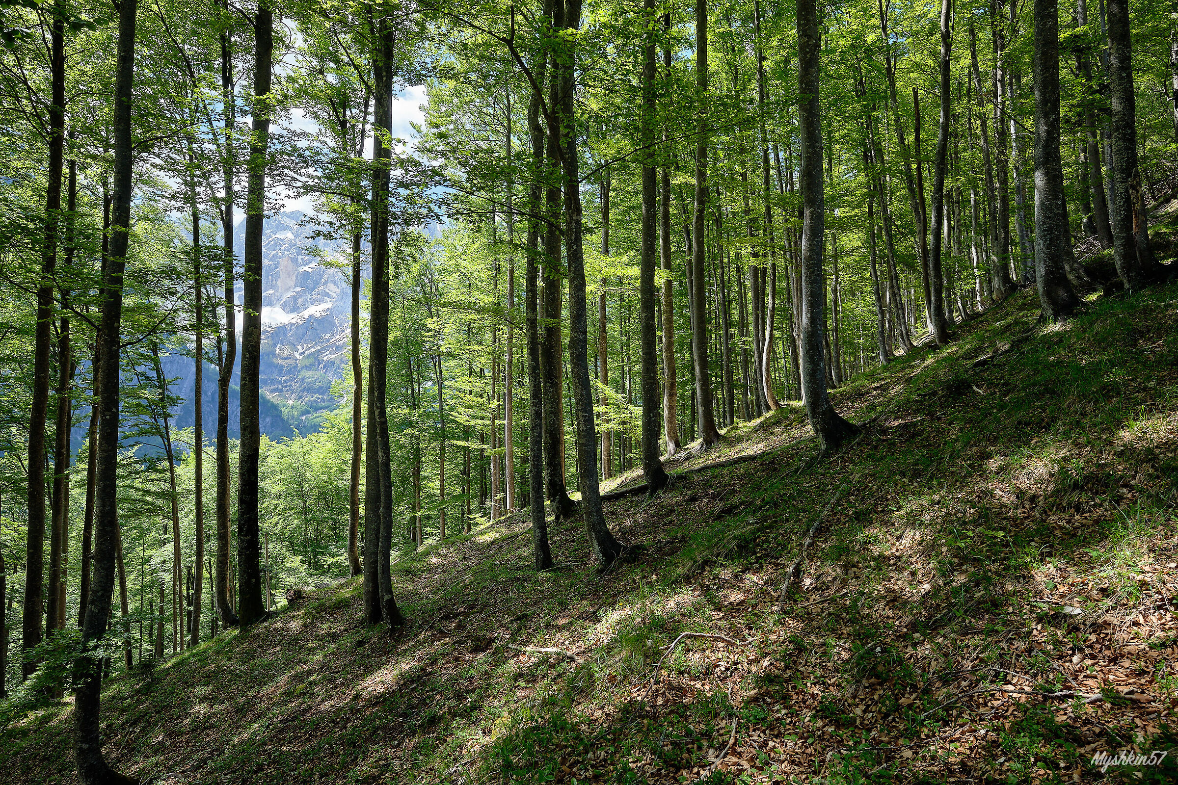 Towards the Grego