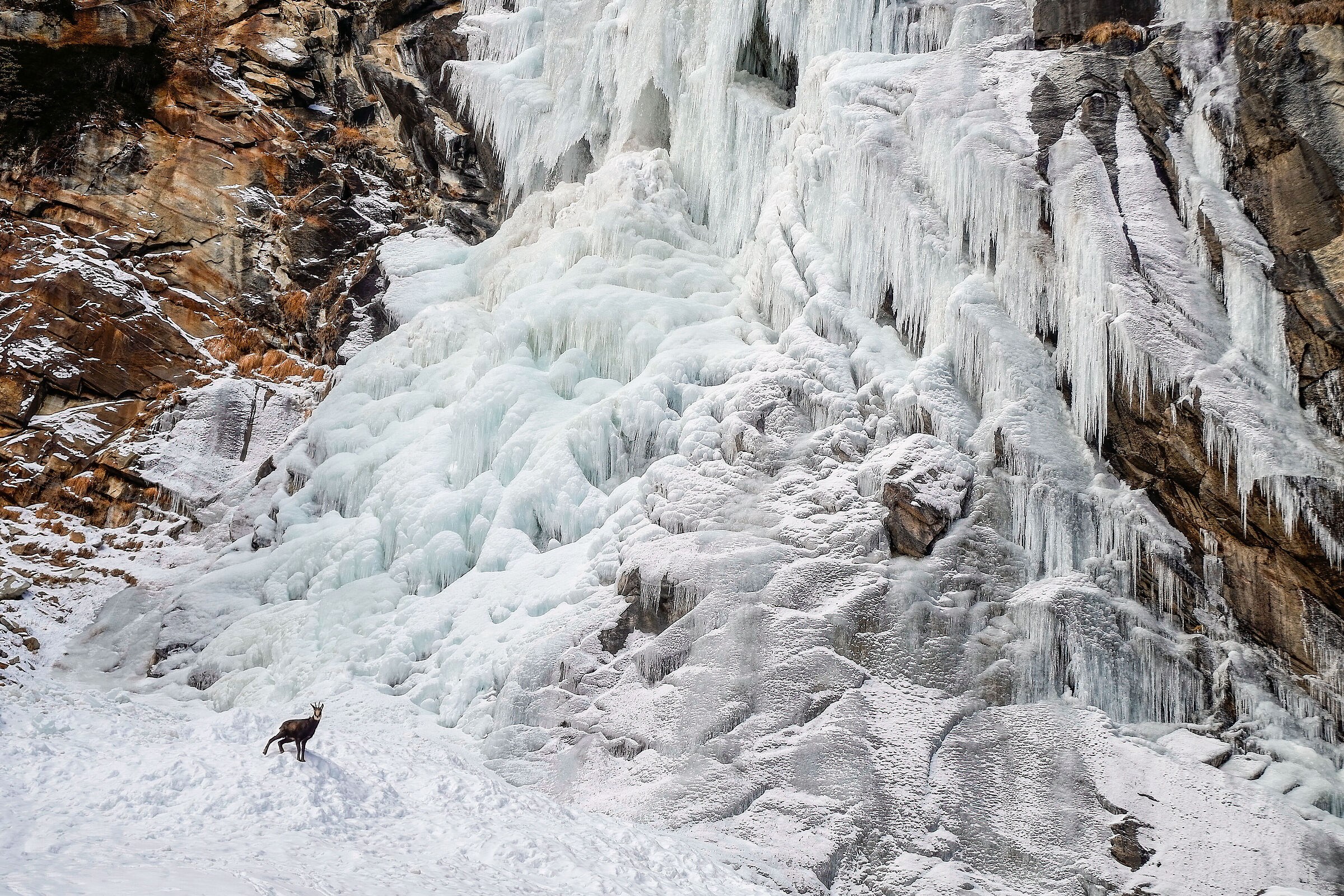 Il custode della cascata