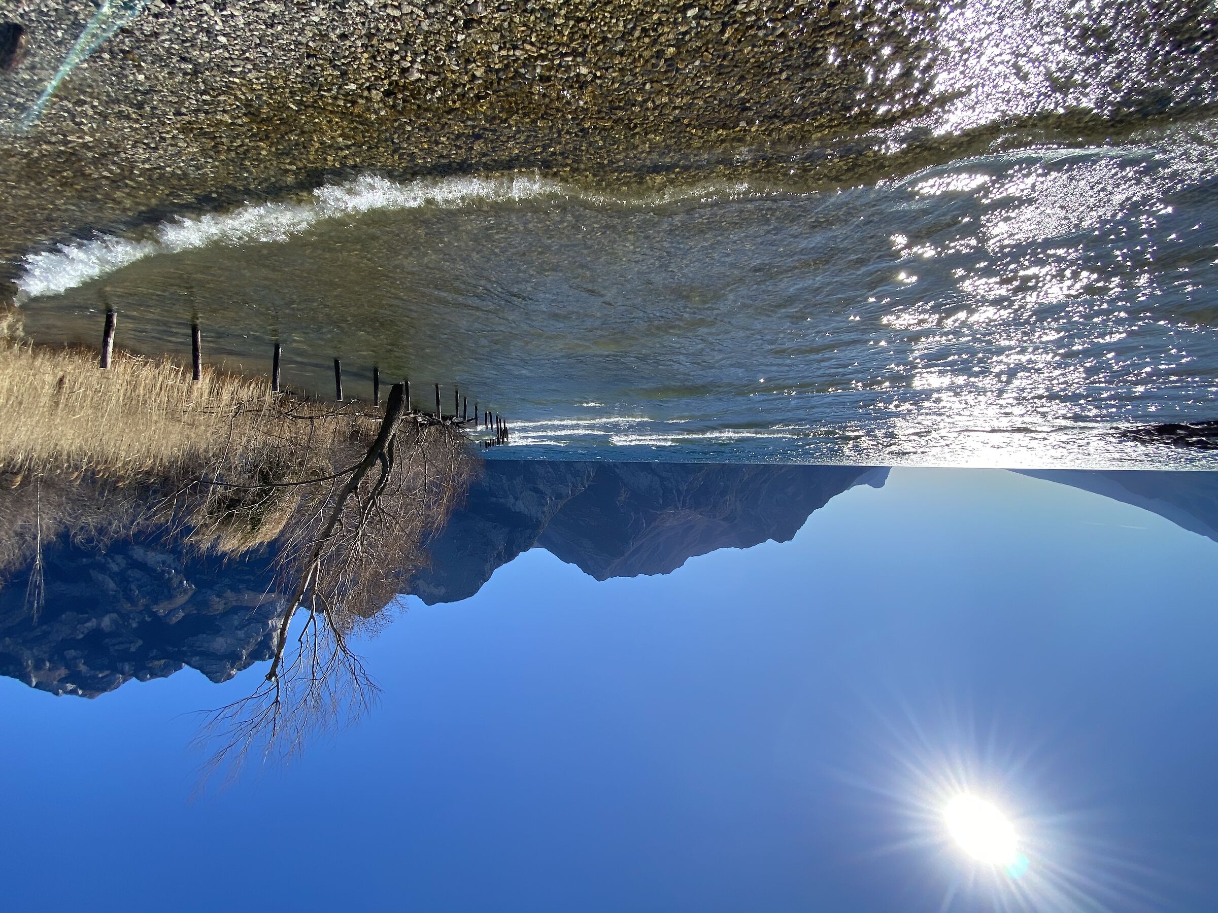 Untitled Photo