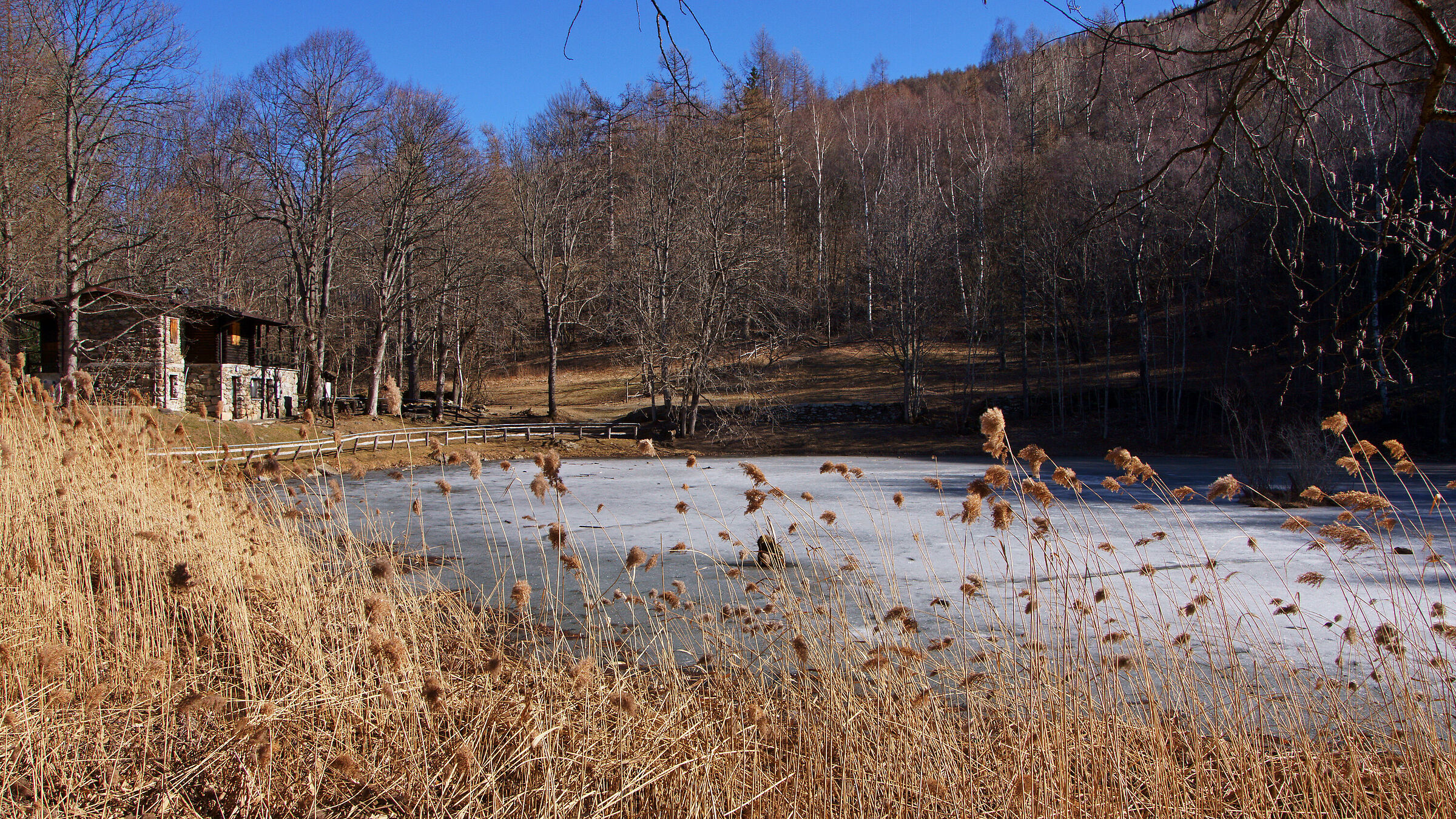 lago delle rane