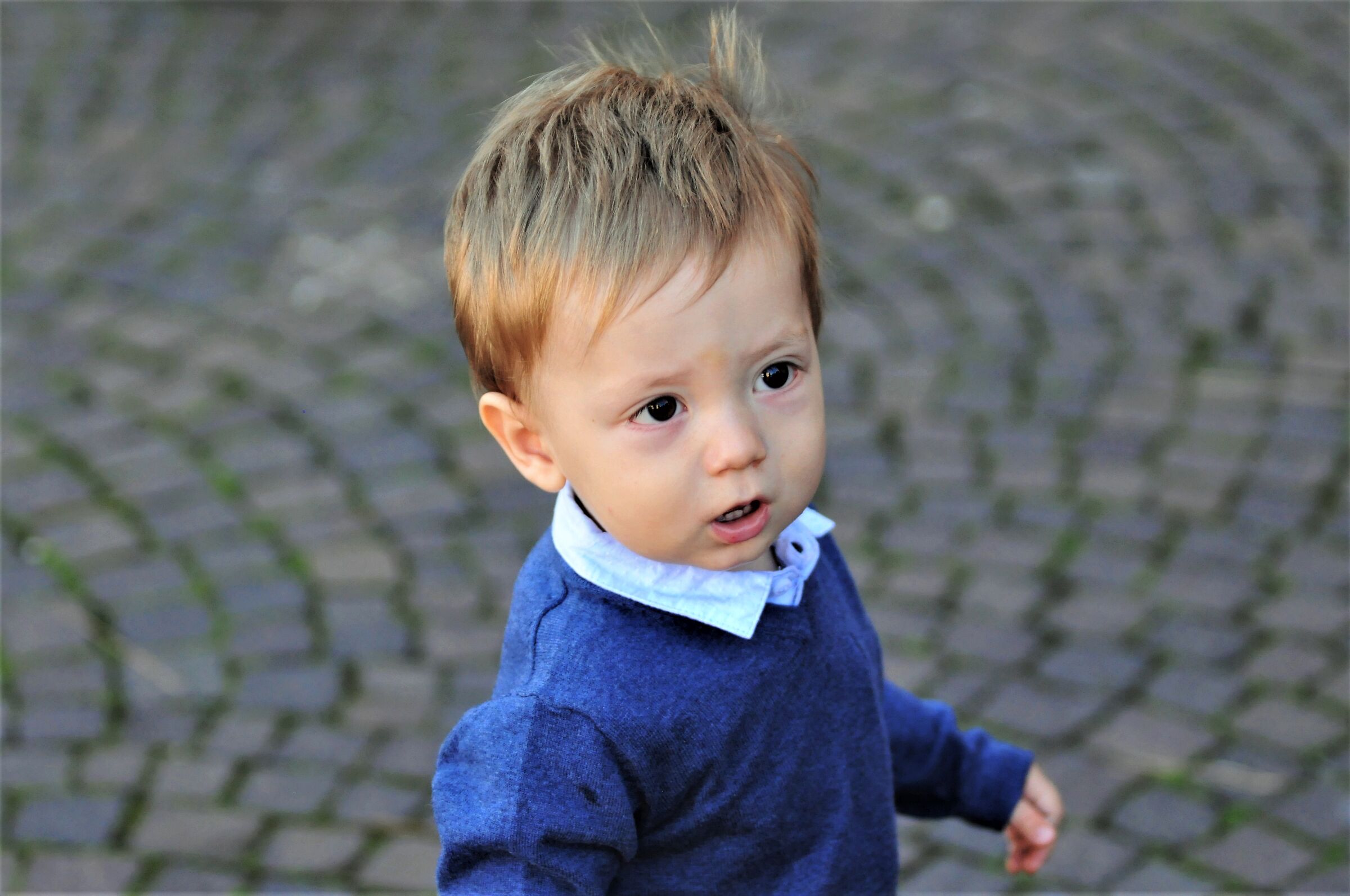David