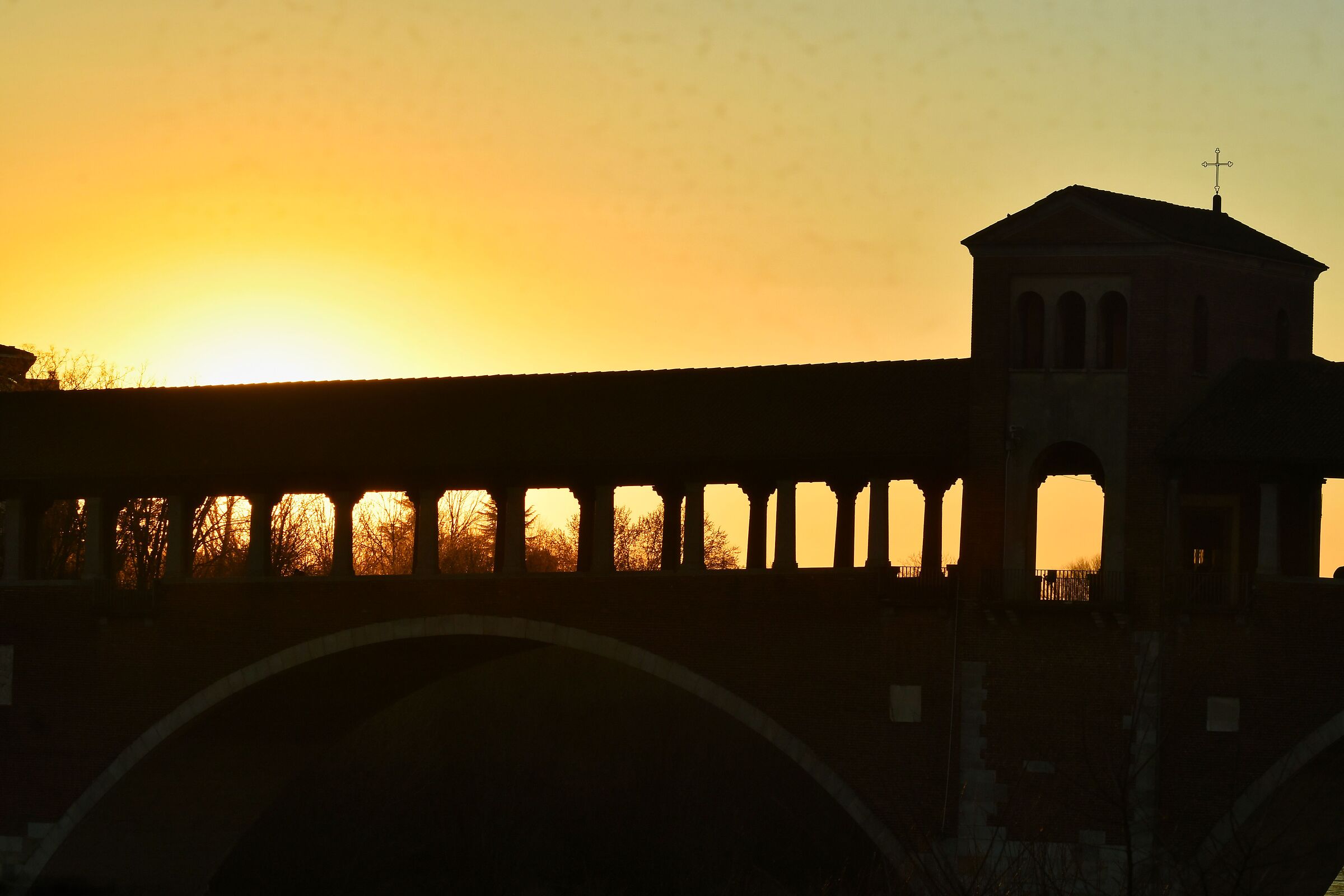 Pavia