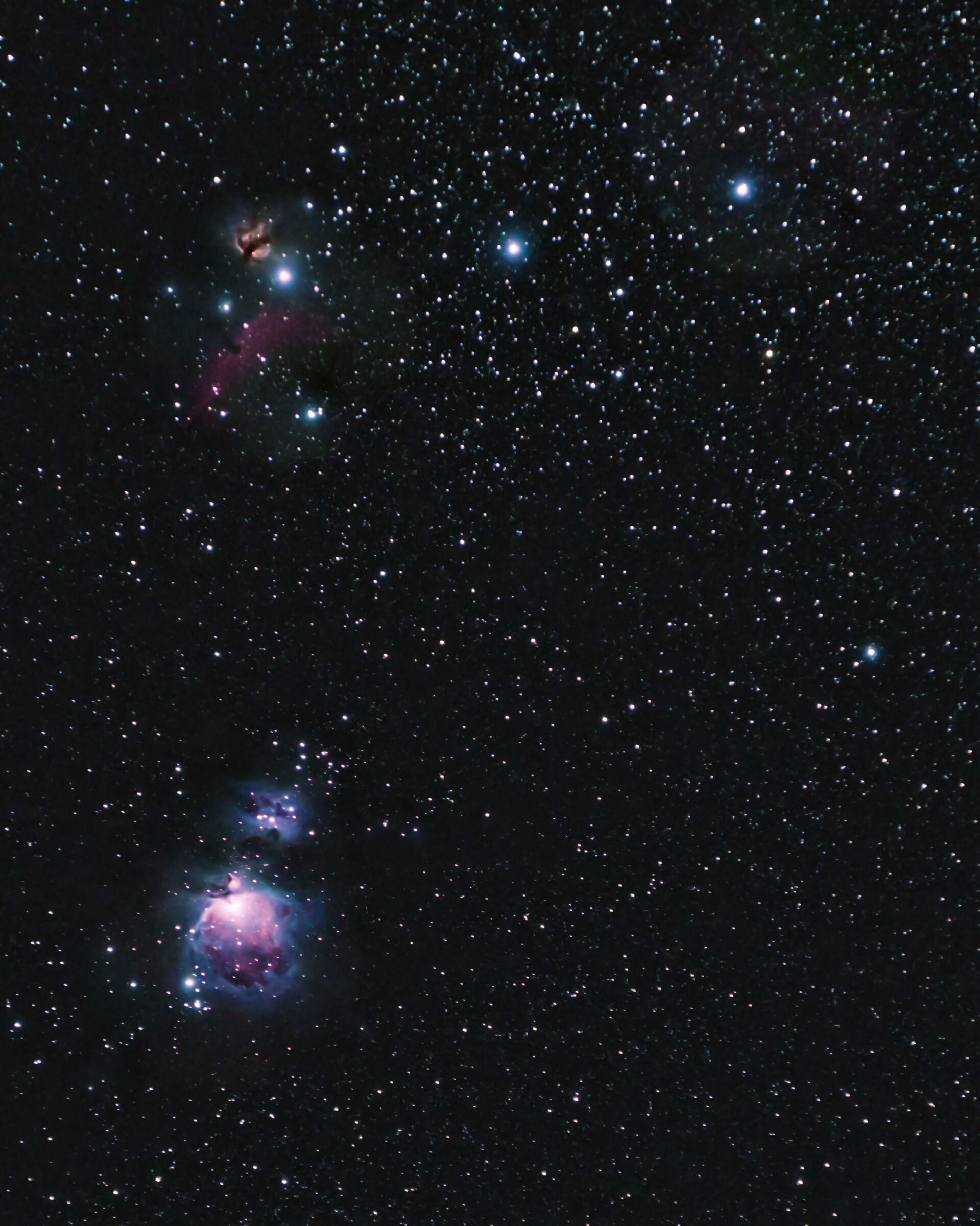 Il complesso di Orione