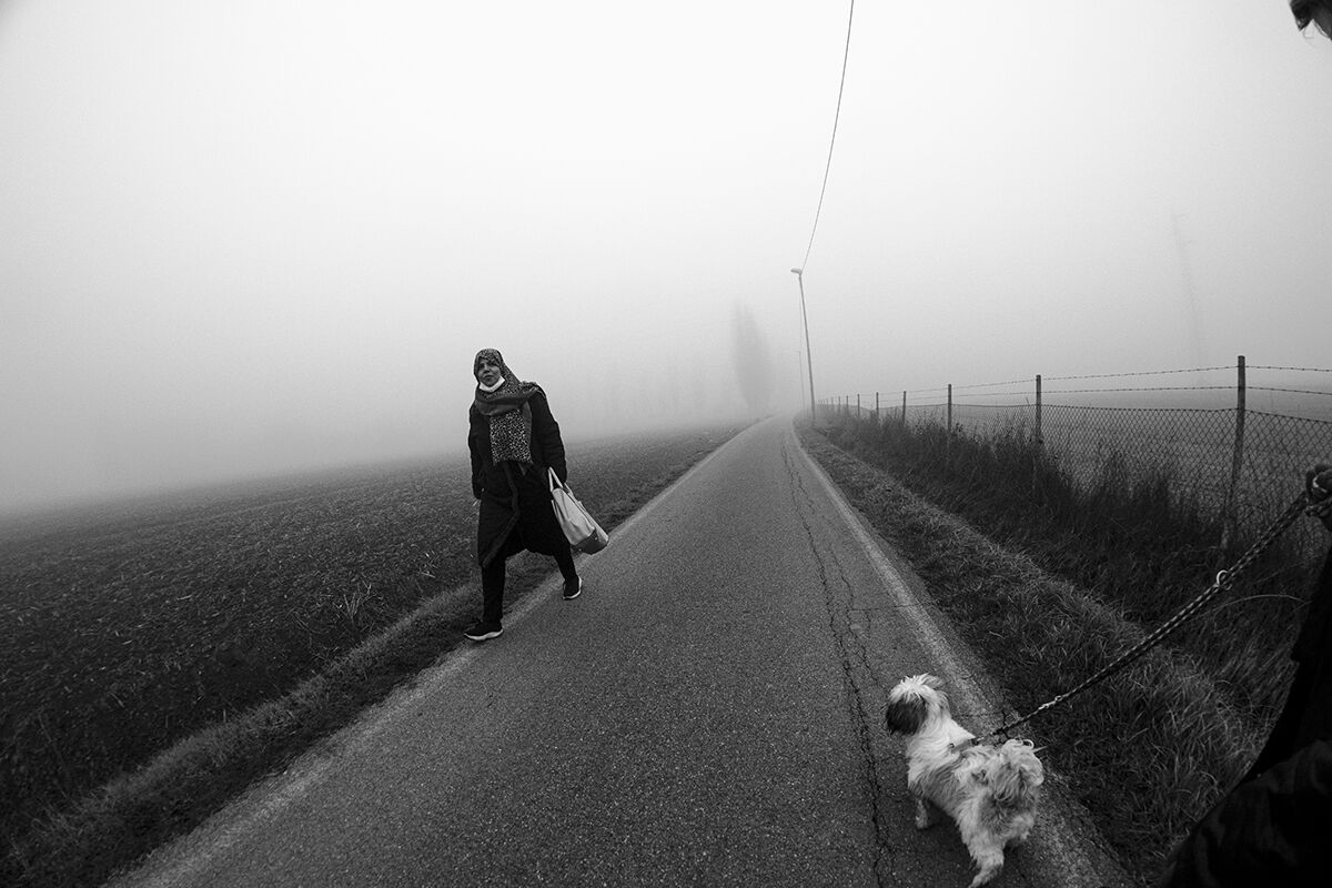 Walk