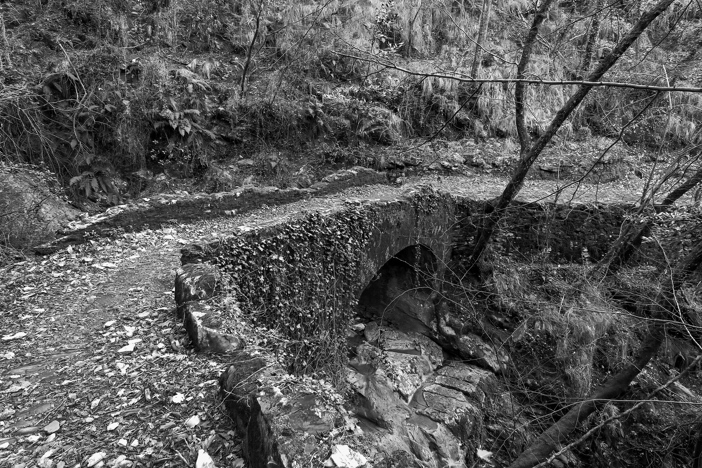 Roman Bridge?