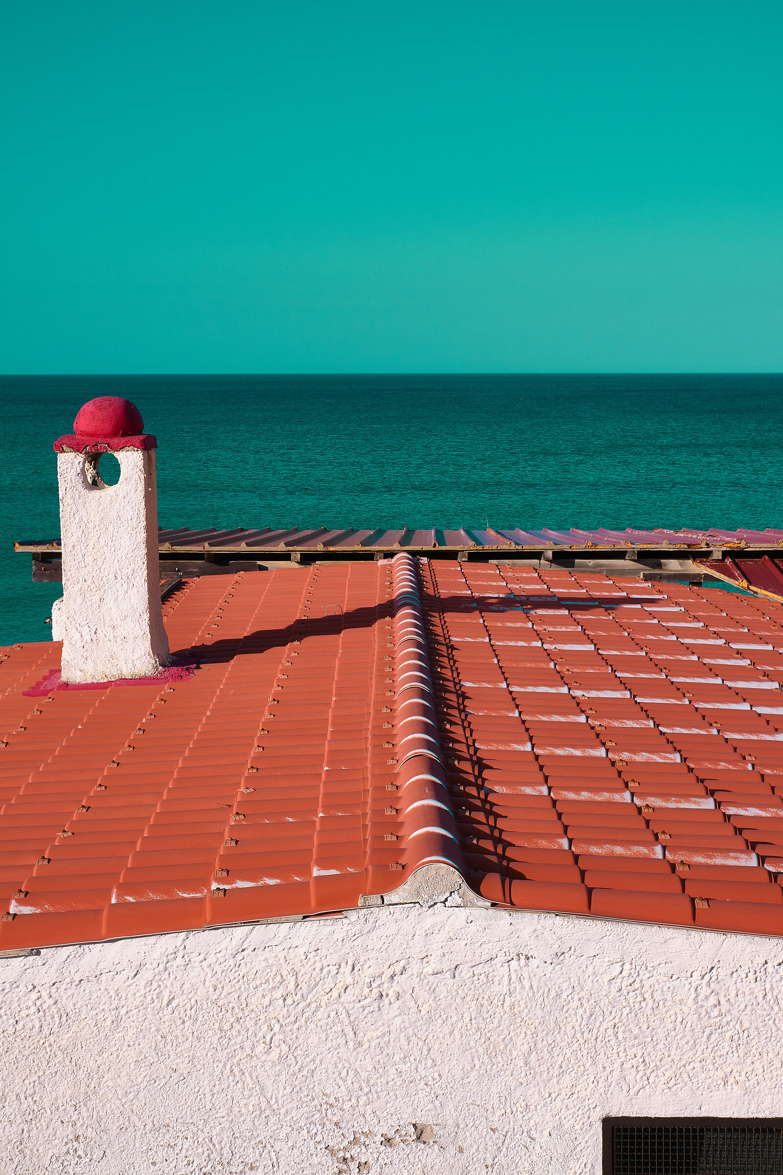 The colors of February