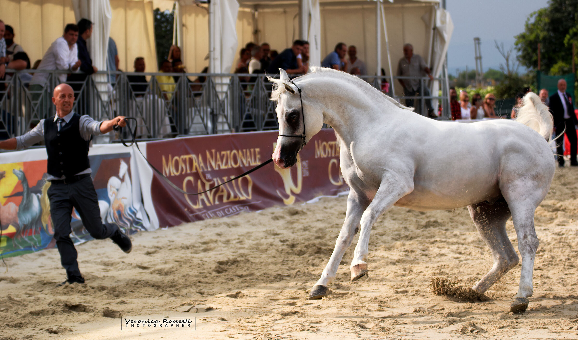 Exhibition ANICA - Città di Castello