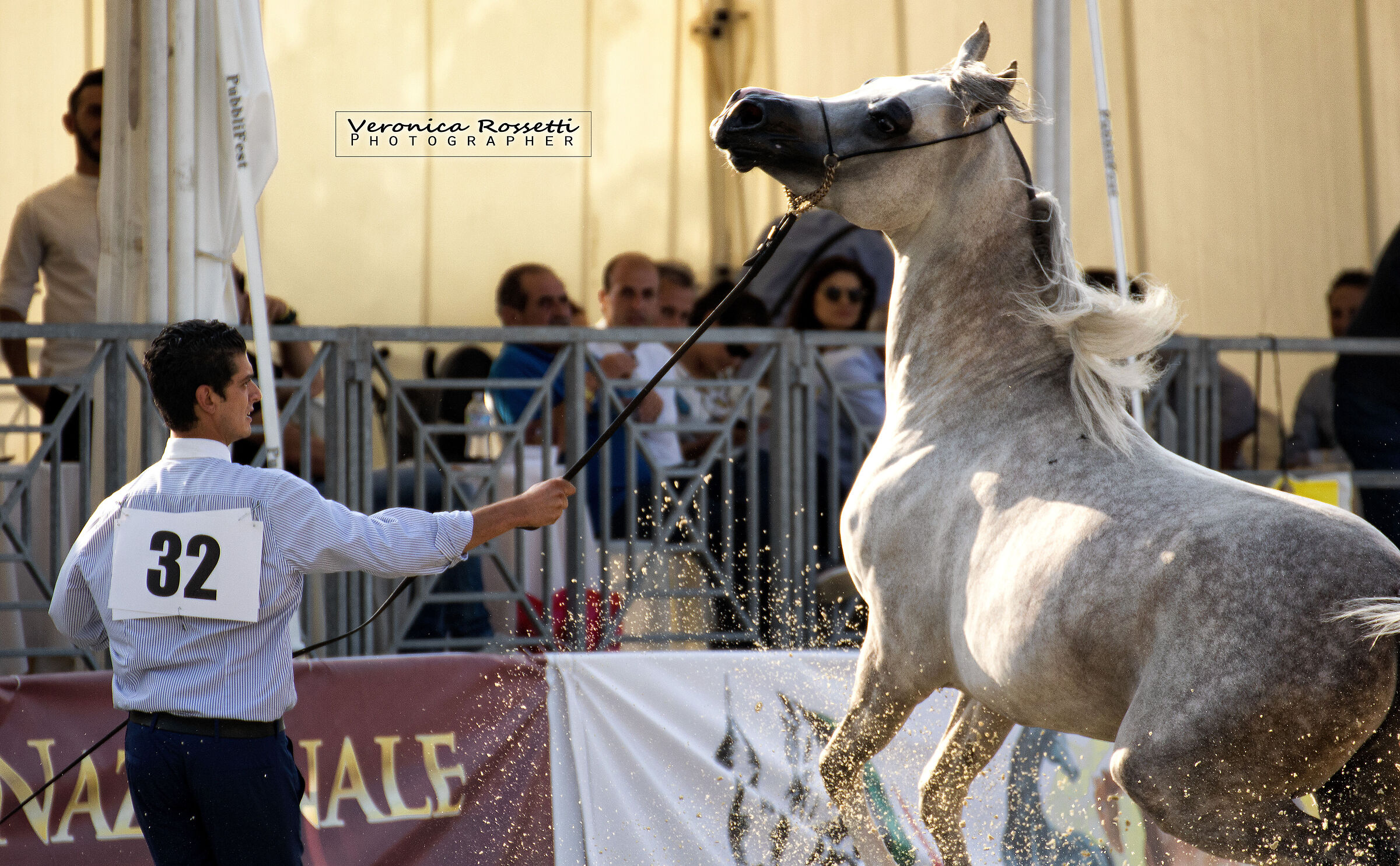 Exhibition ANICA - Città di Castello