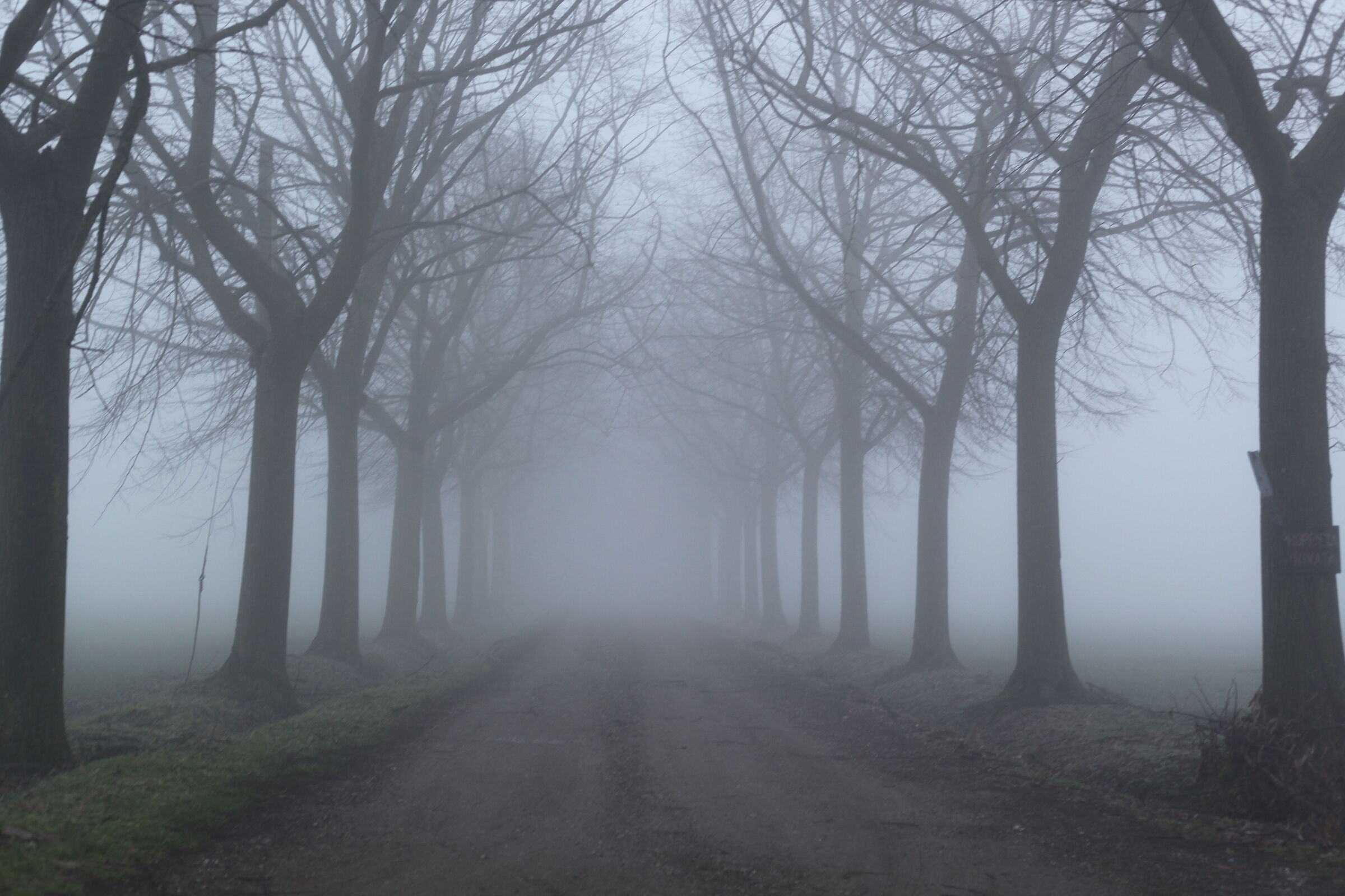 Destinazione nowhere