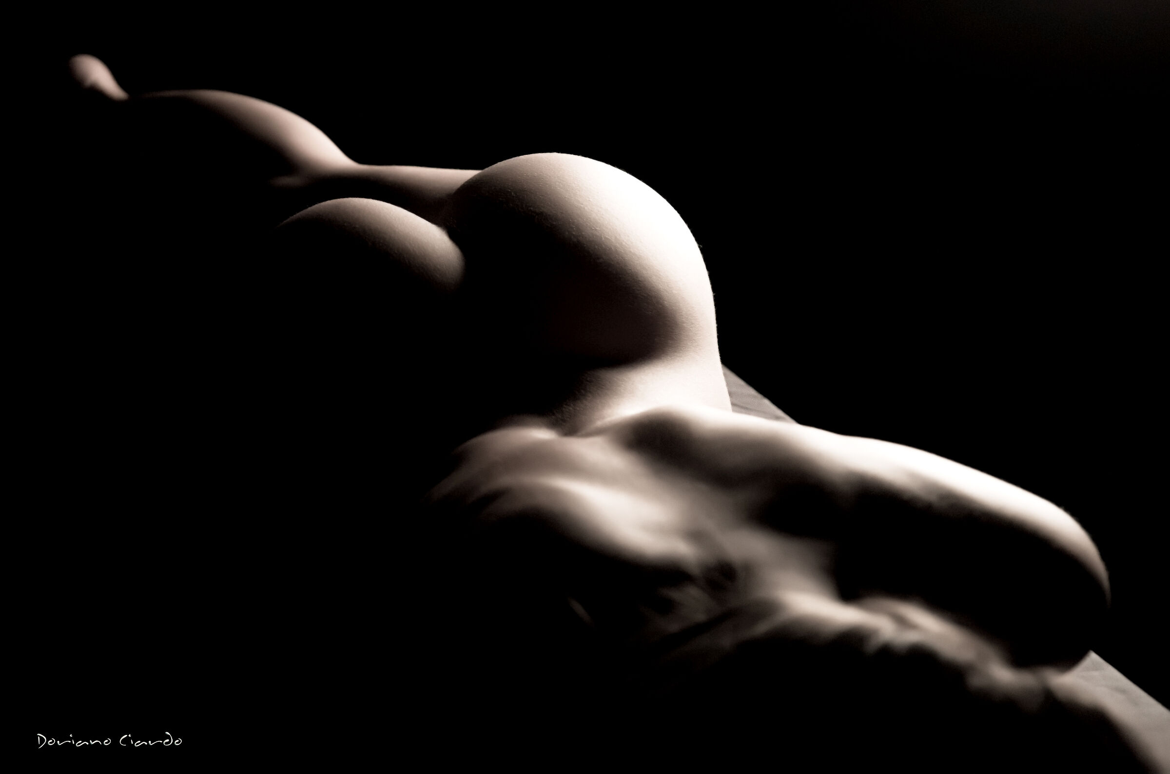 All rights reserved. Copyright © Doriano Ciardo