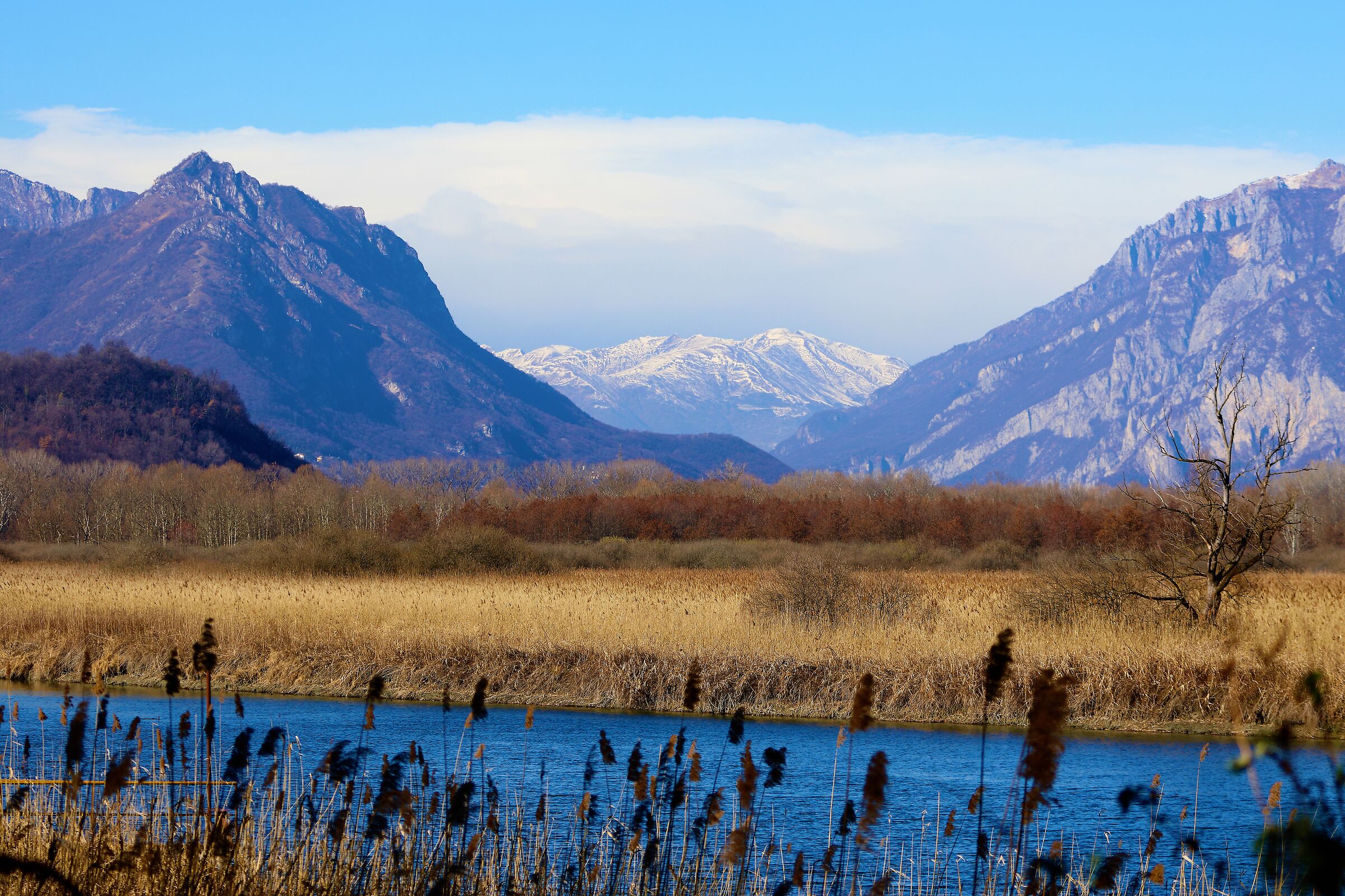 The Spluga 17-02-2022