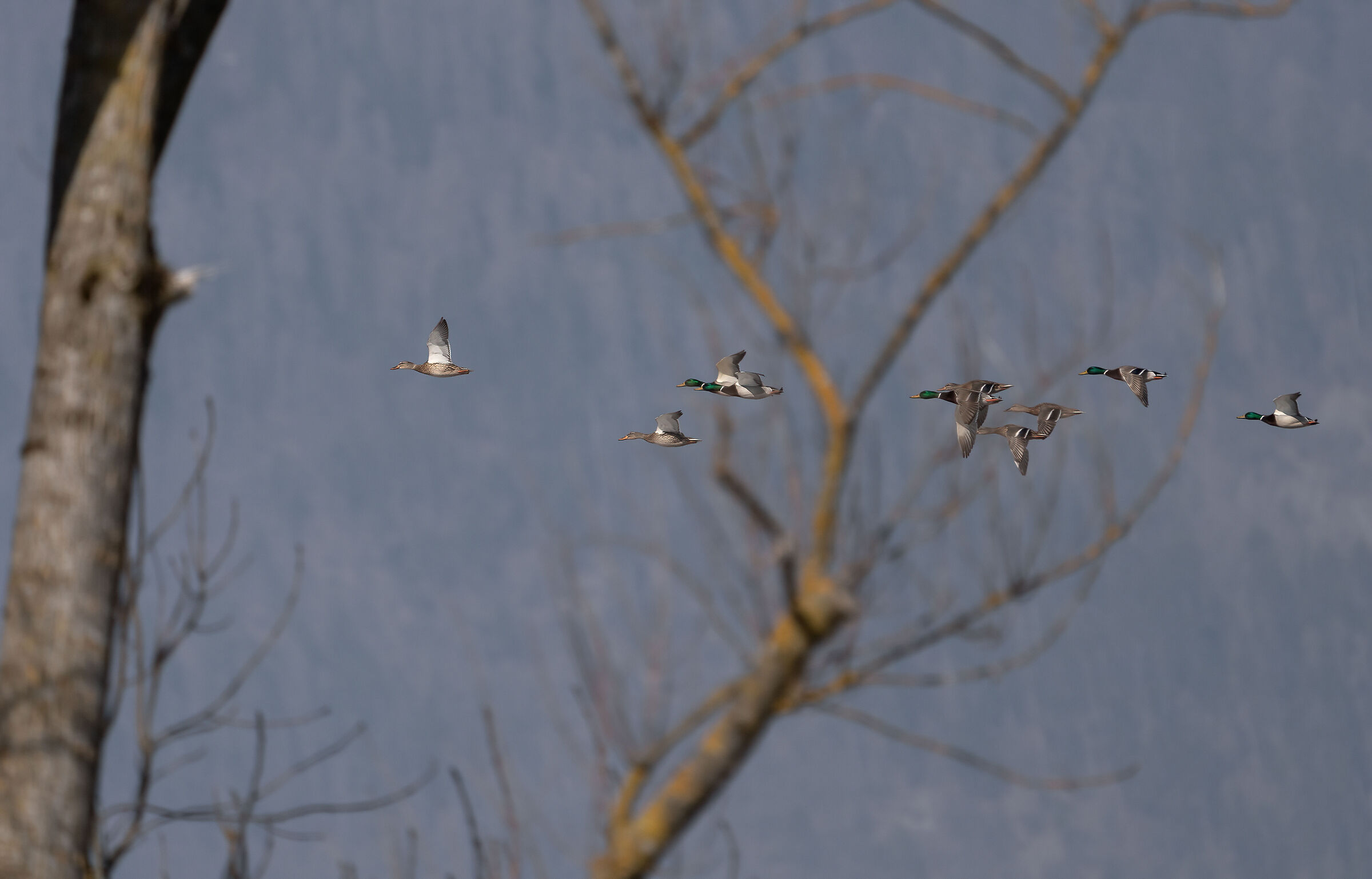 And off to new adventures