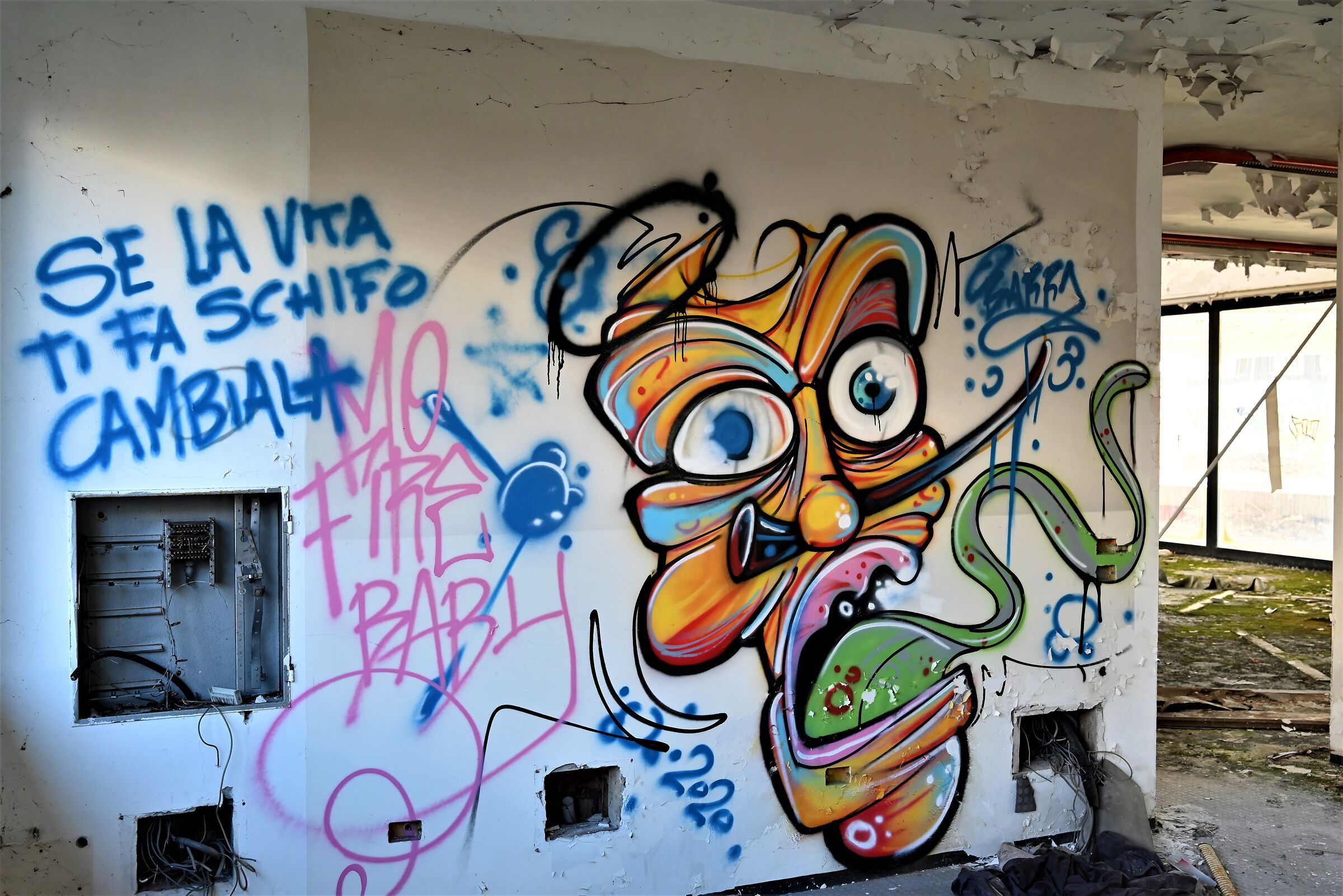 Untitled Photo